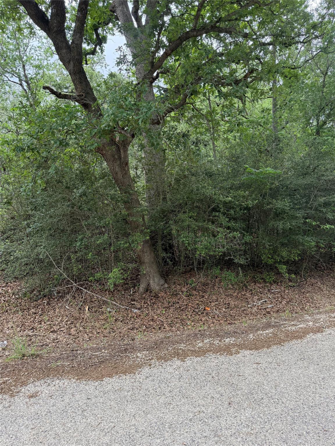 lot 70 Kaelepulu DR — photo 4
