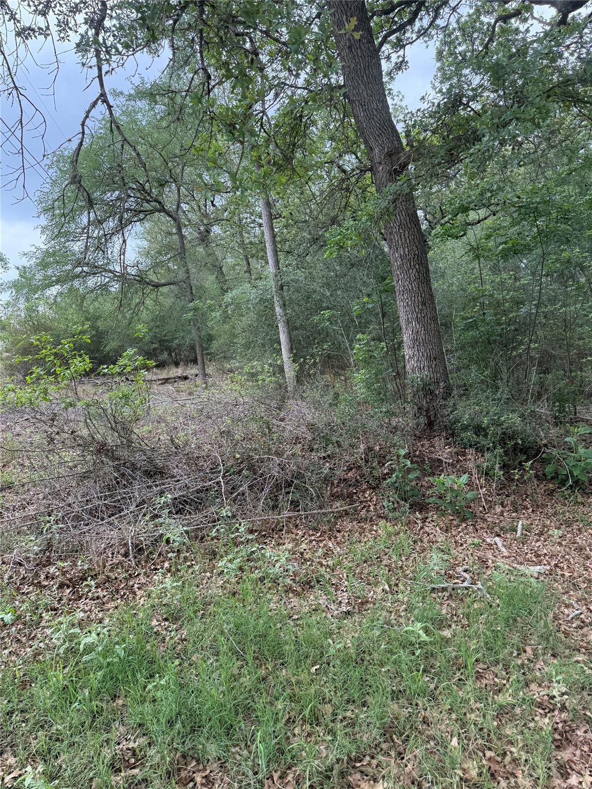 lot 70 Kaelepulu DR — photo 5