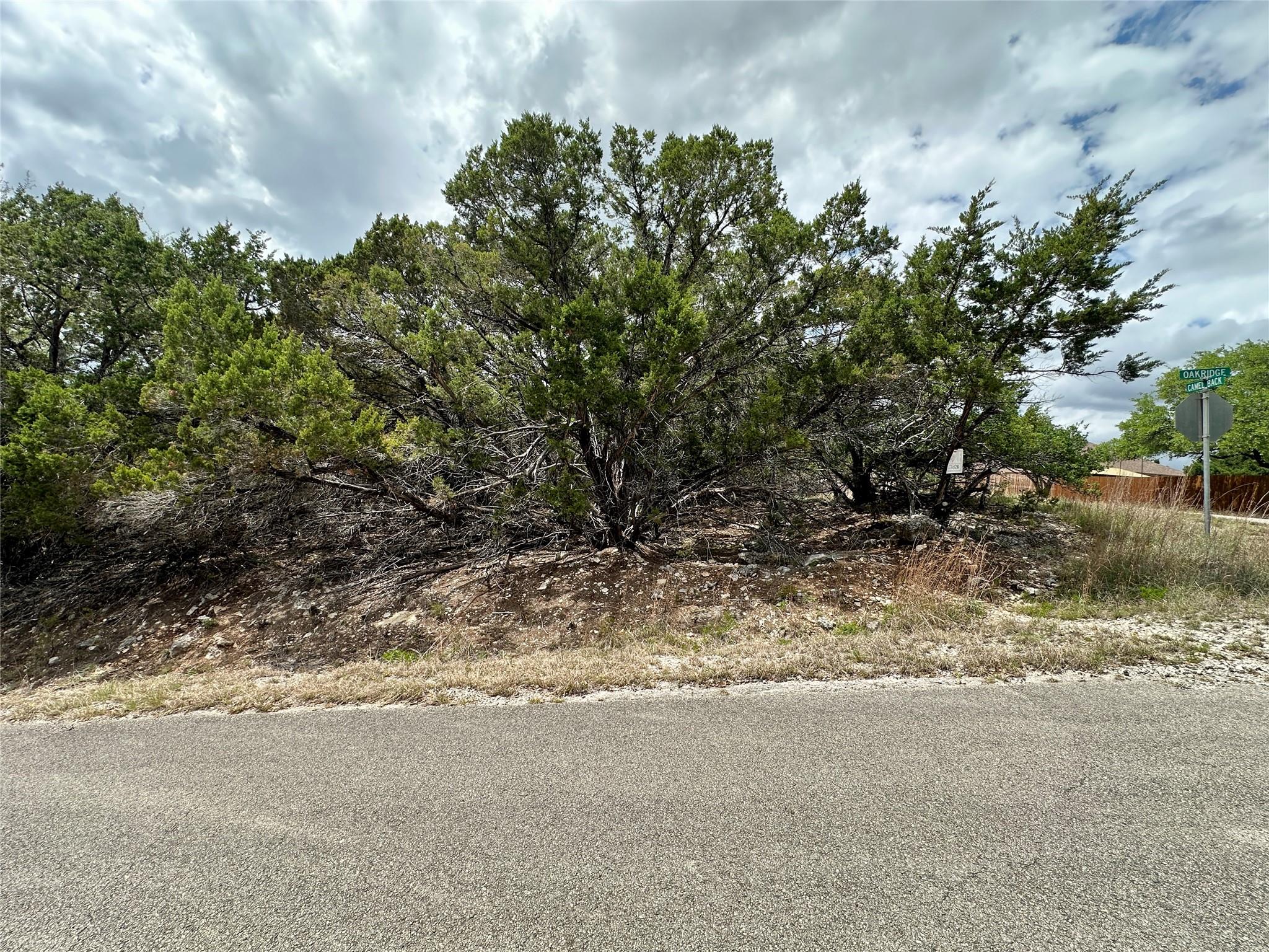 20732 Camel Back ST — photo 5