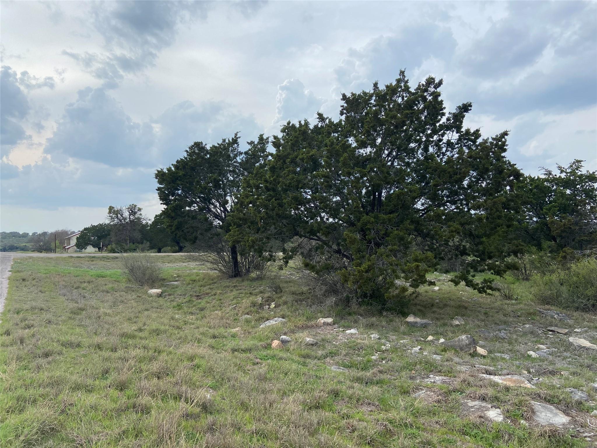Lot 22244 Westward Ho/Long Shot — photo 3