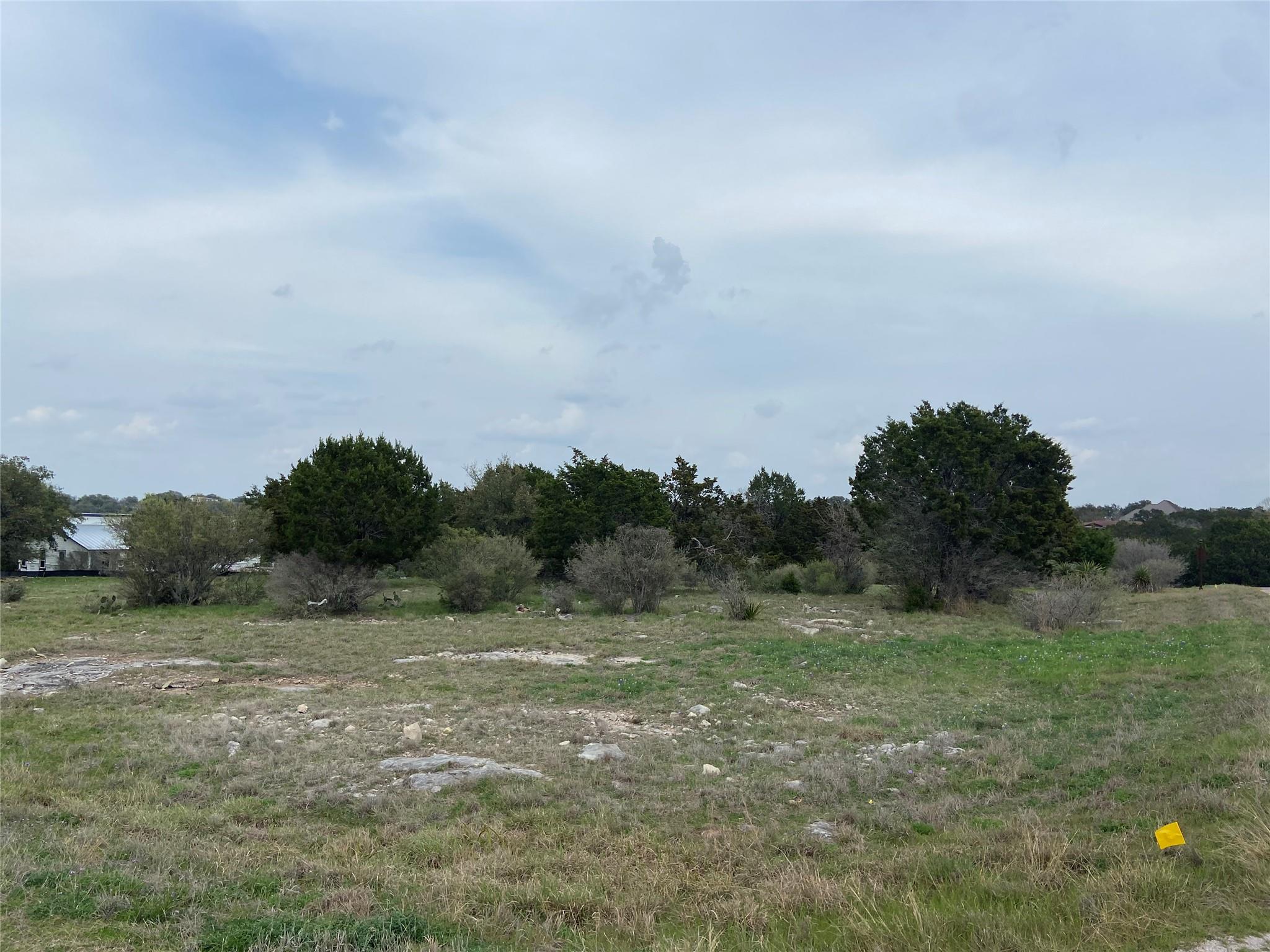 Lot 22244 Westward Ho/Long Shot — photo 4