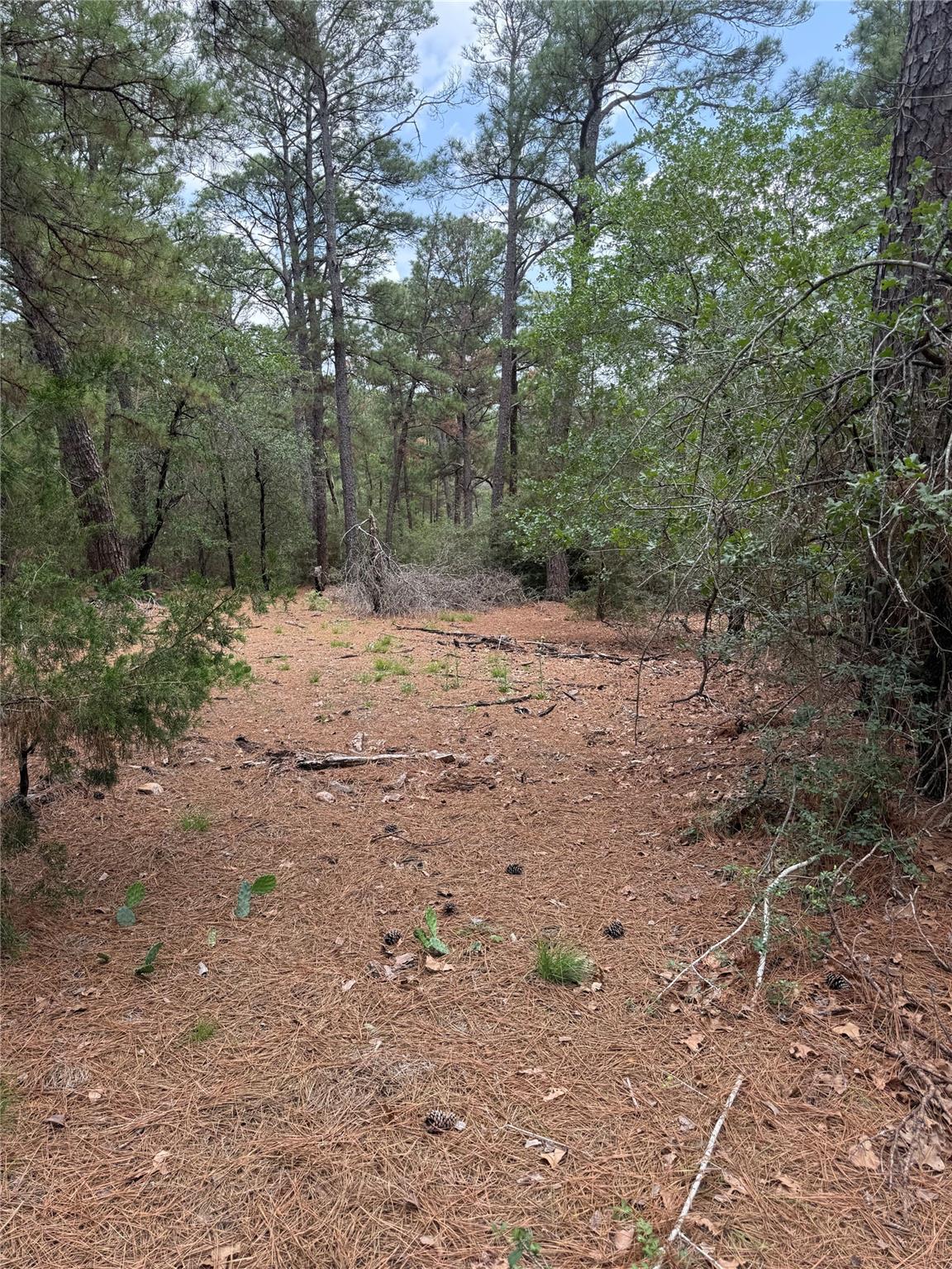 Lot 35 Tanglewood DR — photo 3