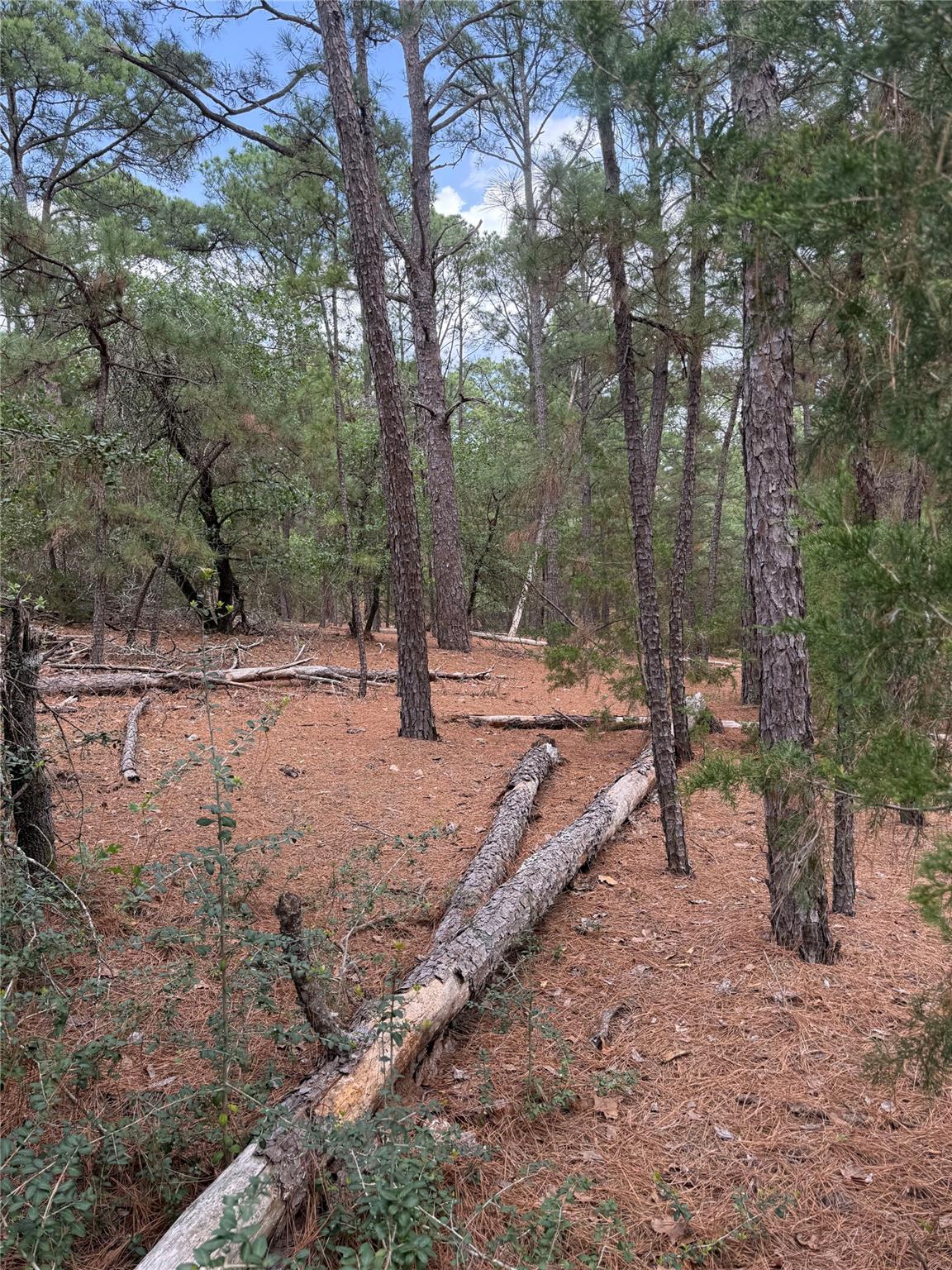 Lot 35 Tanglewood DR — photo 4