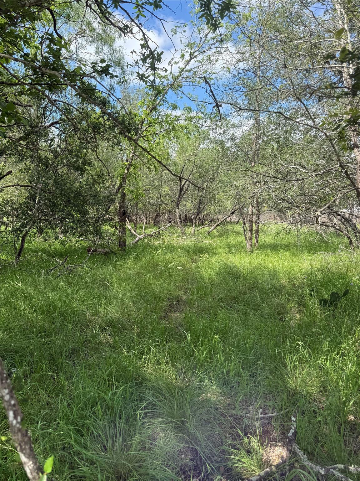 Lot 200 Nene LN — photo 4