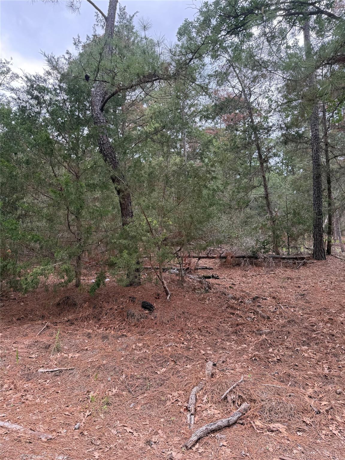 Lot 1428 Keeau CT — photo 4