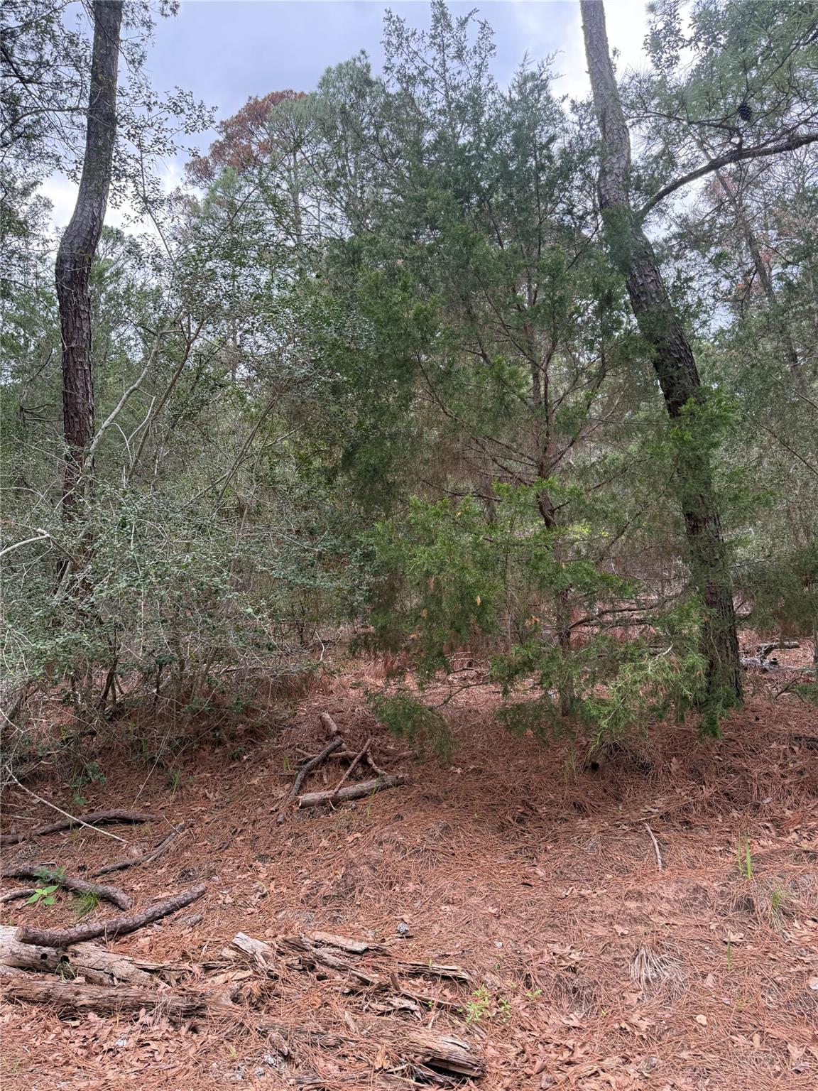 Lot 1428 Keeau CT — photo 5