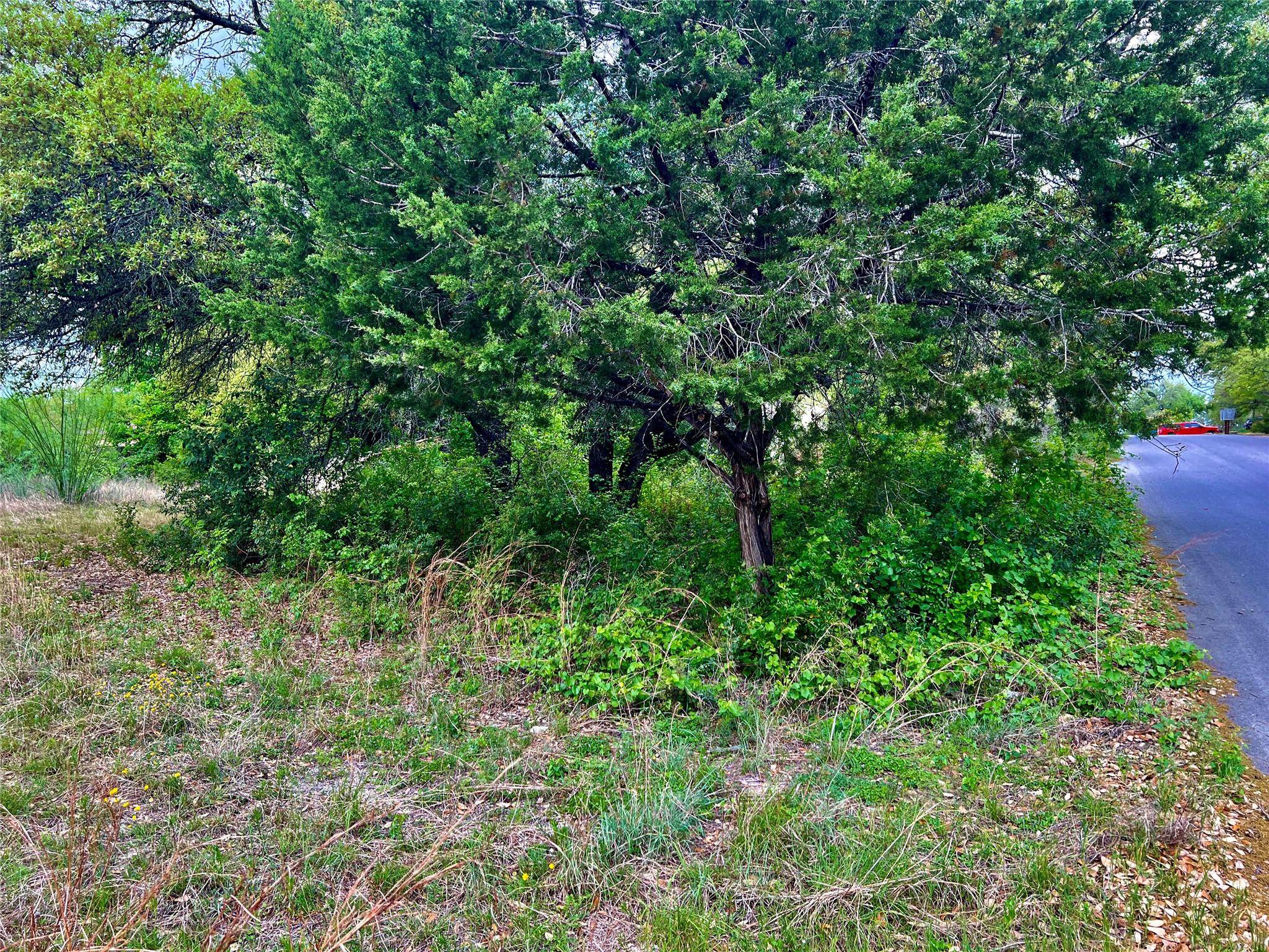 15209 CAVALIER CANYON DR — photo 4