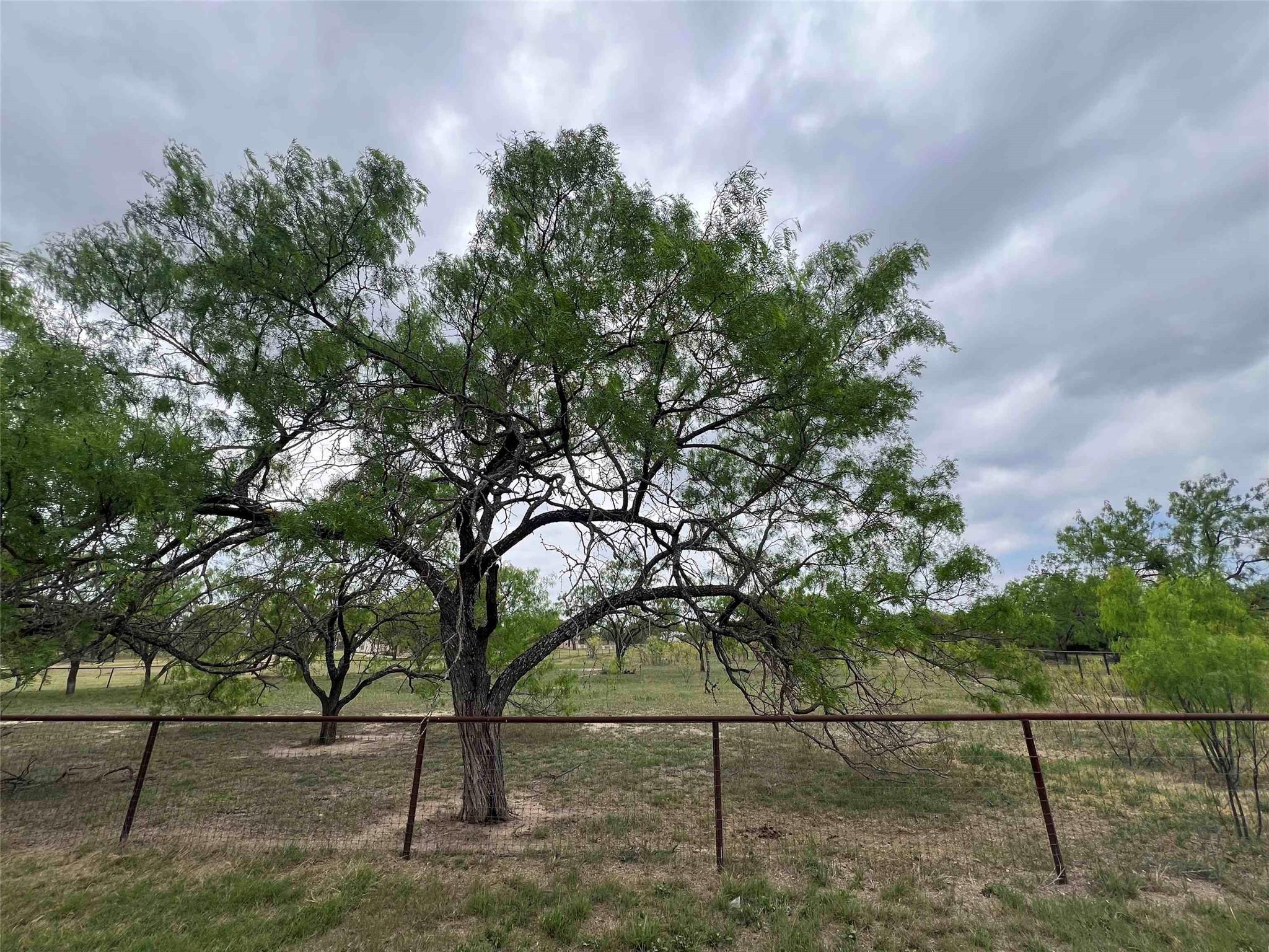 326 County Road 144B