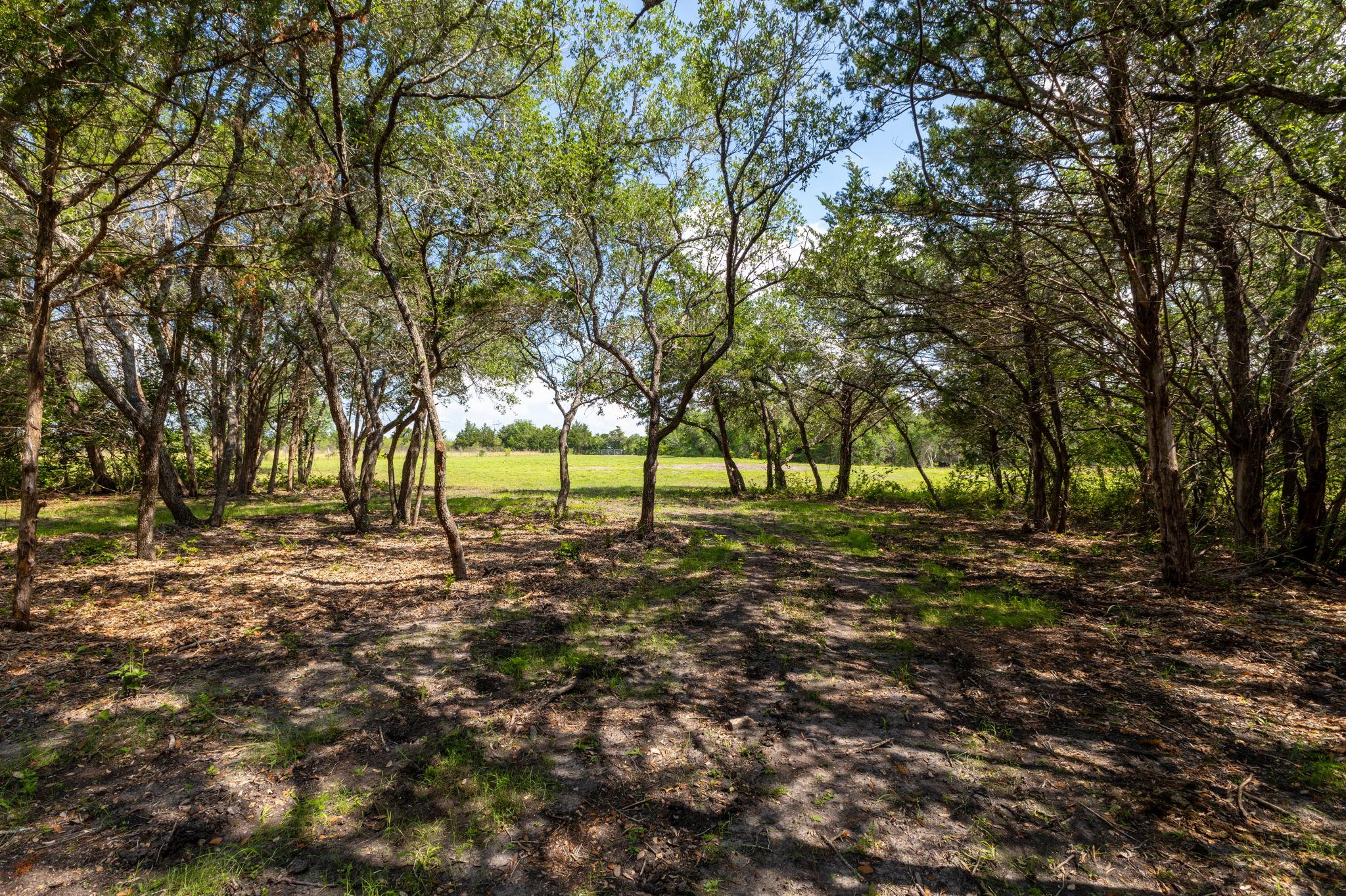 1910 (Tract #1) Baca LOOP — photo 4