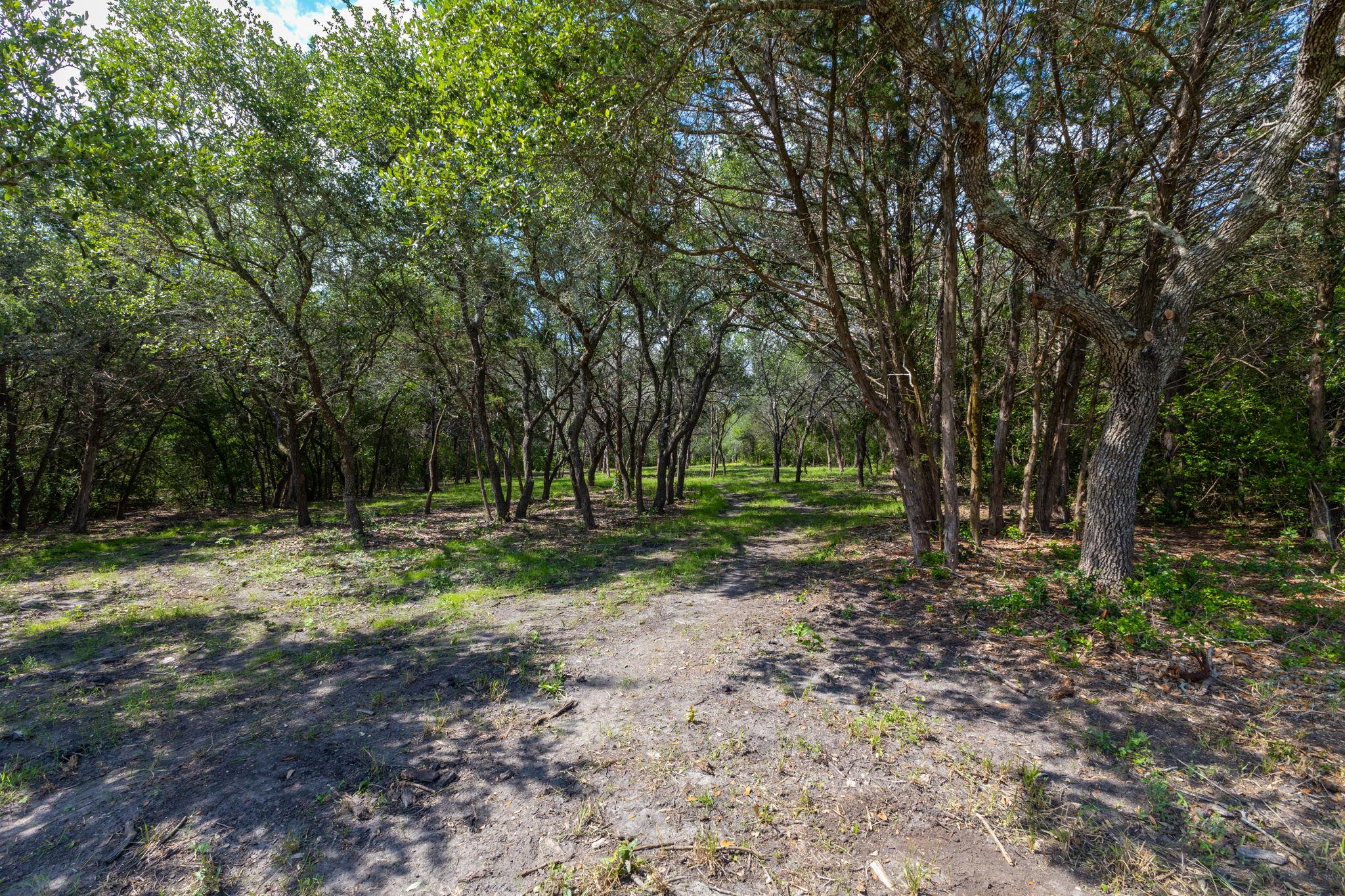 1910 (Tract #1) Baca LOOP — photo 5