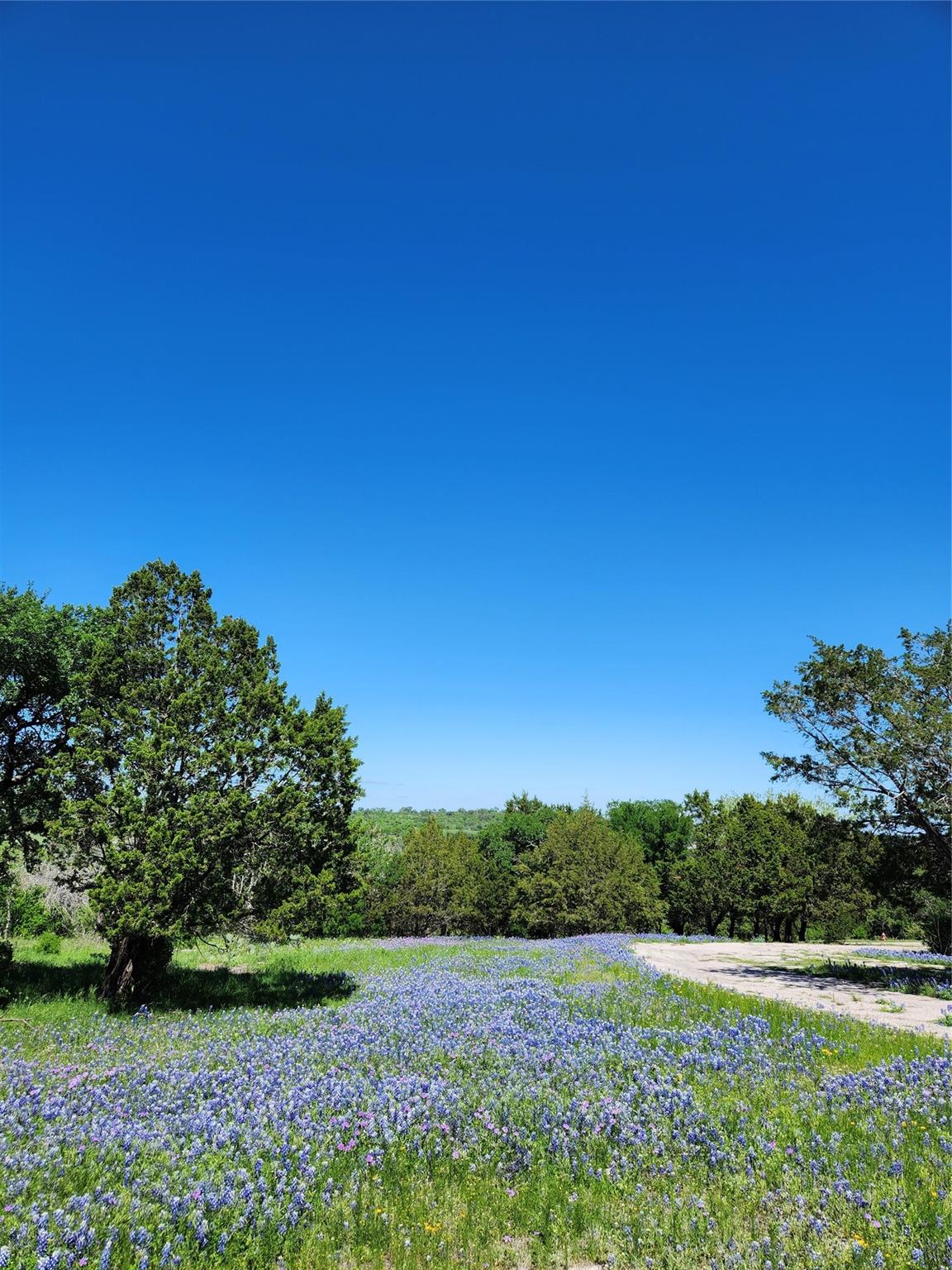2006 Brazos — photo 3