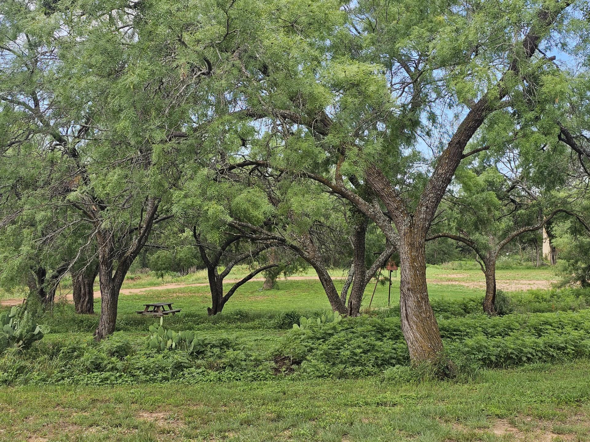 441 County Road 433 — photo 4