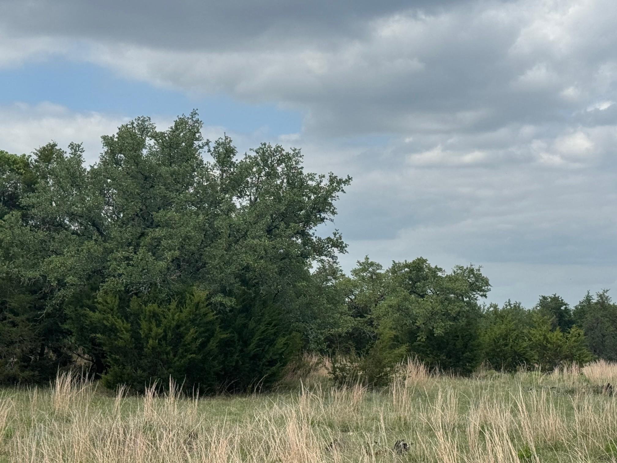 Lot 40 Maverick WAY — photo 4