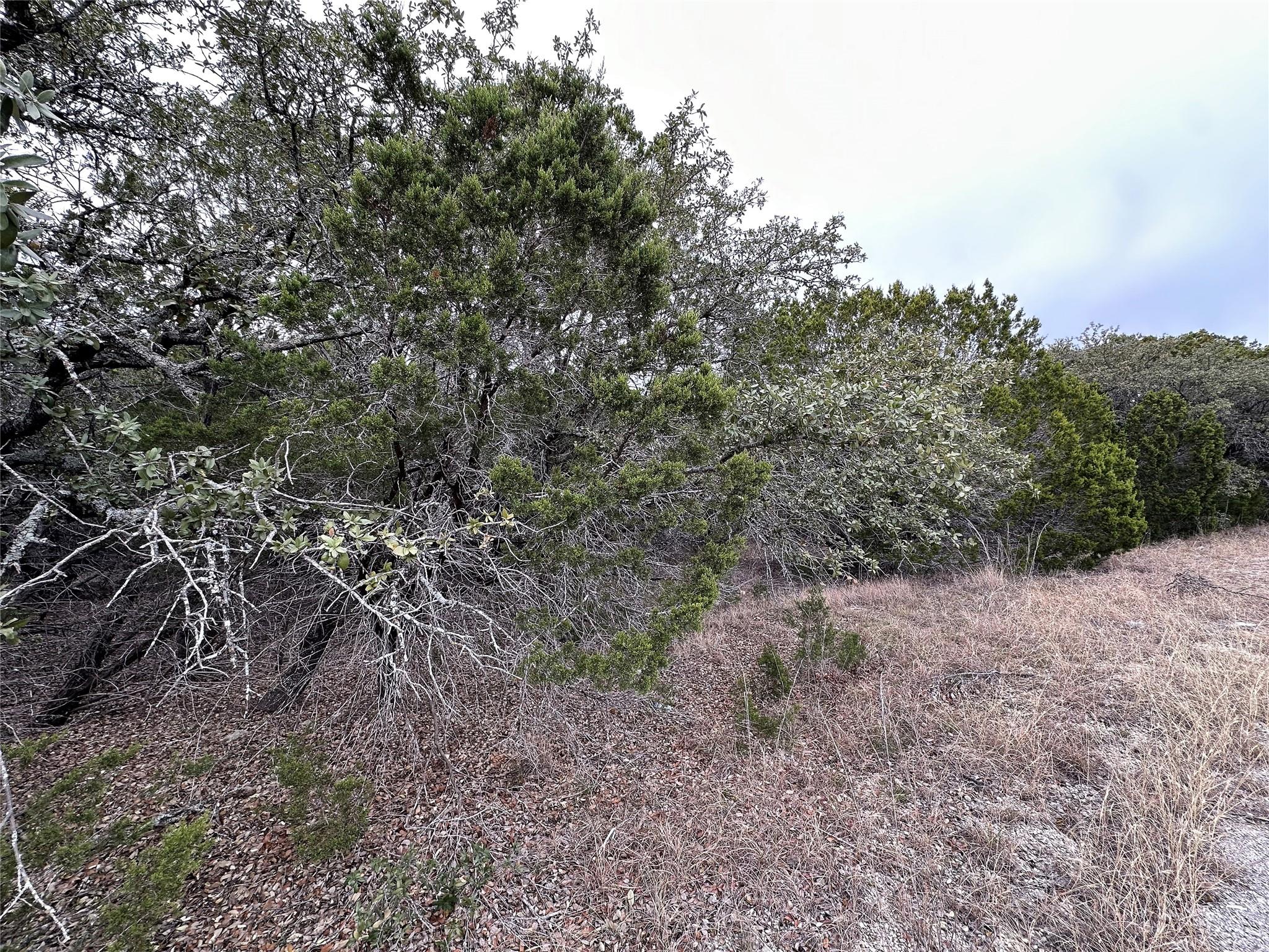 8446 Corral LN — photo 4