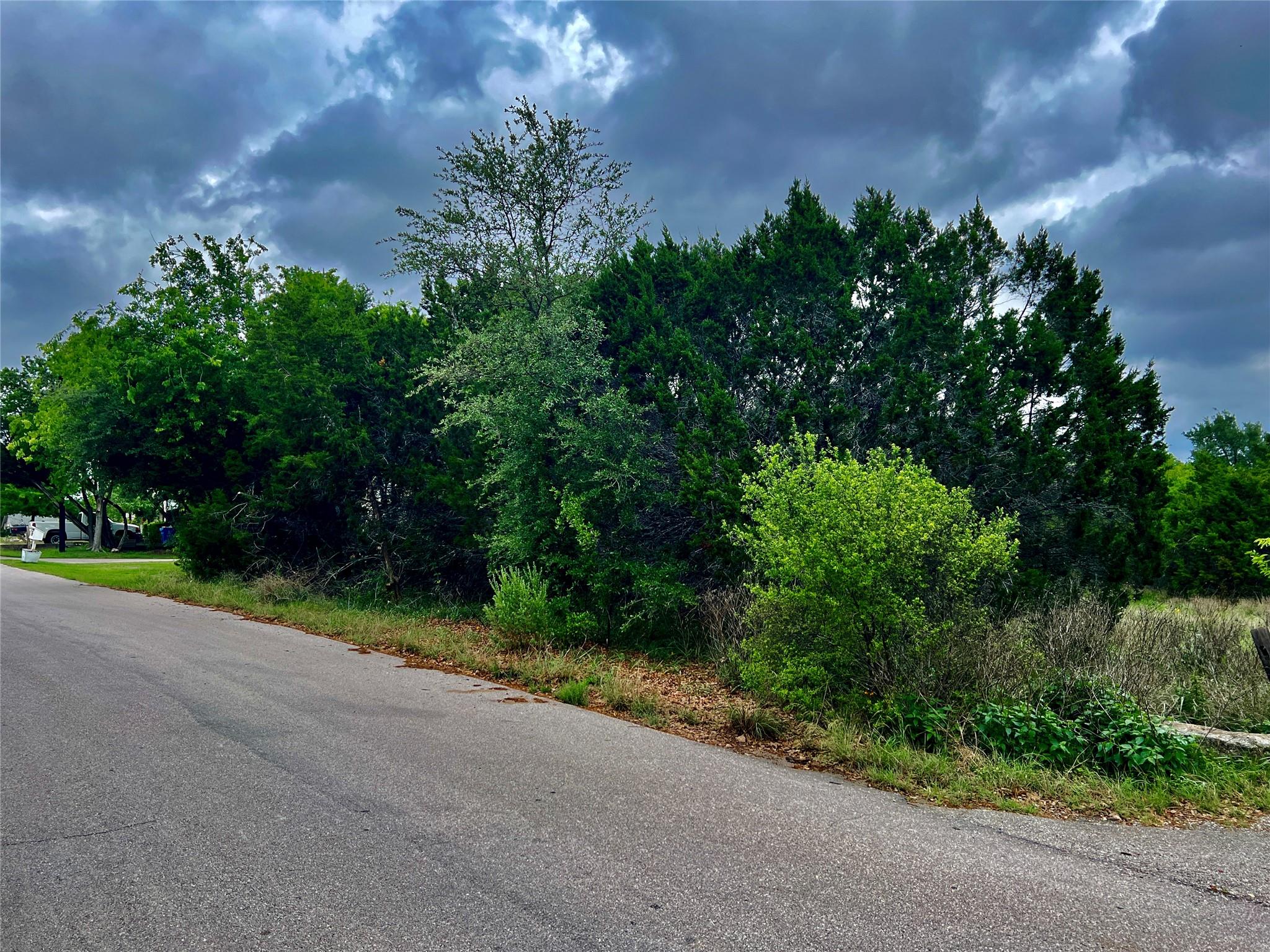 15006 PHEASANT LN — photo 3