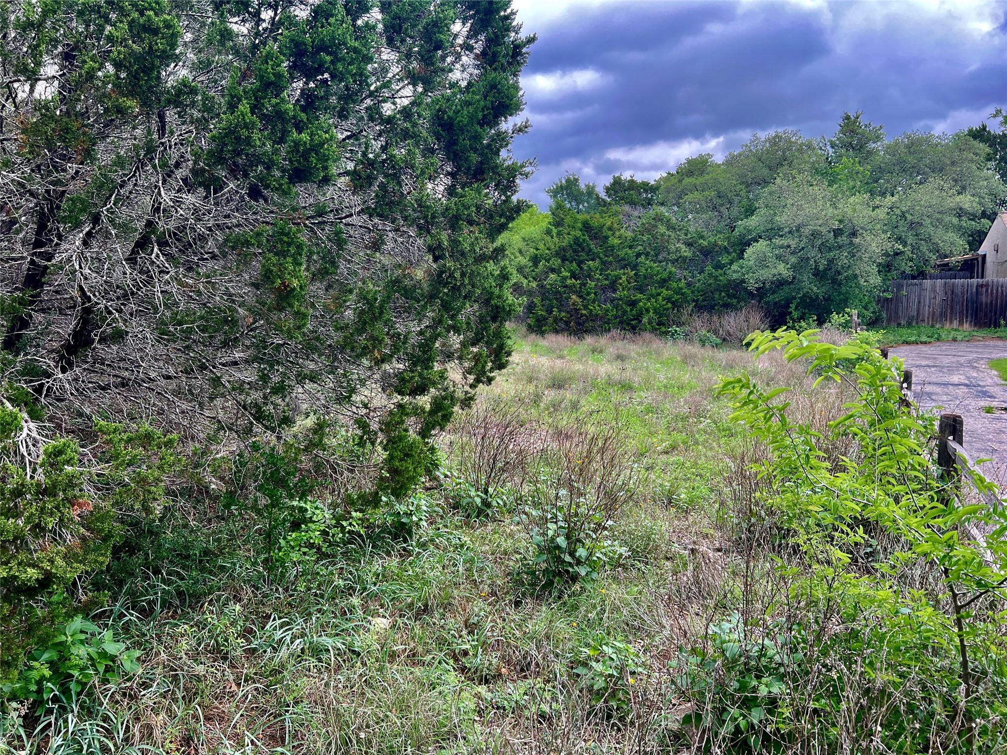 15006 PHEASANT LN — photo 4
