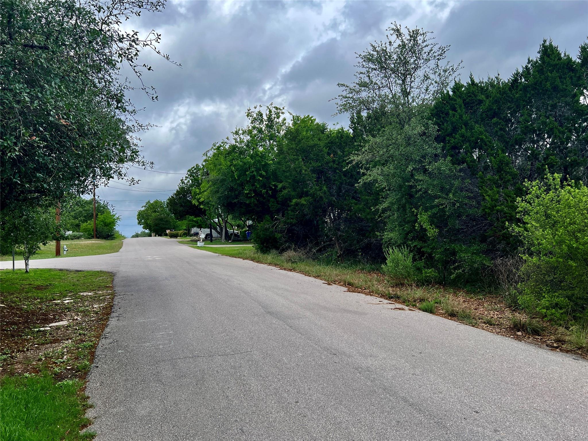 15006 PHEASANT LN — photo 5