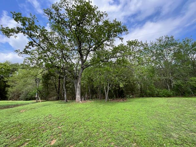 117 Allison CV — photo 3