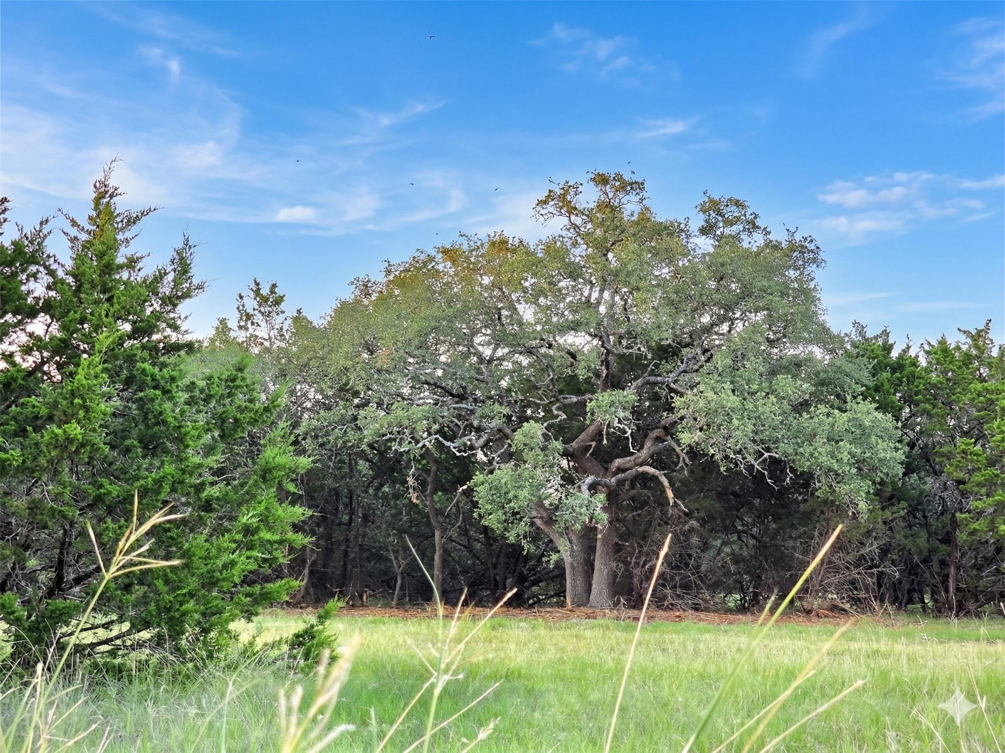 000 CR 206 — photo 4