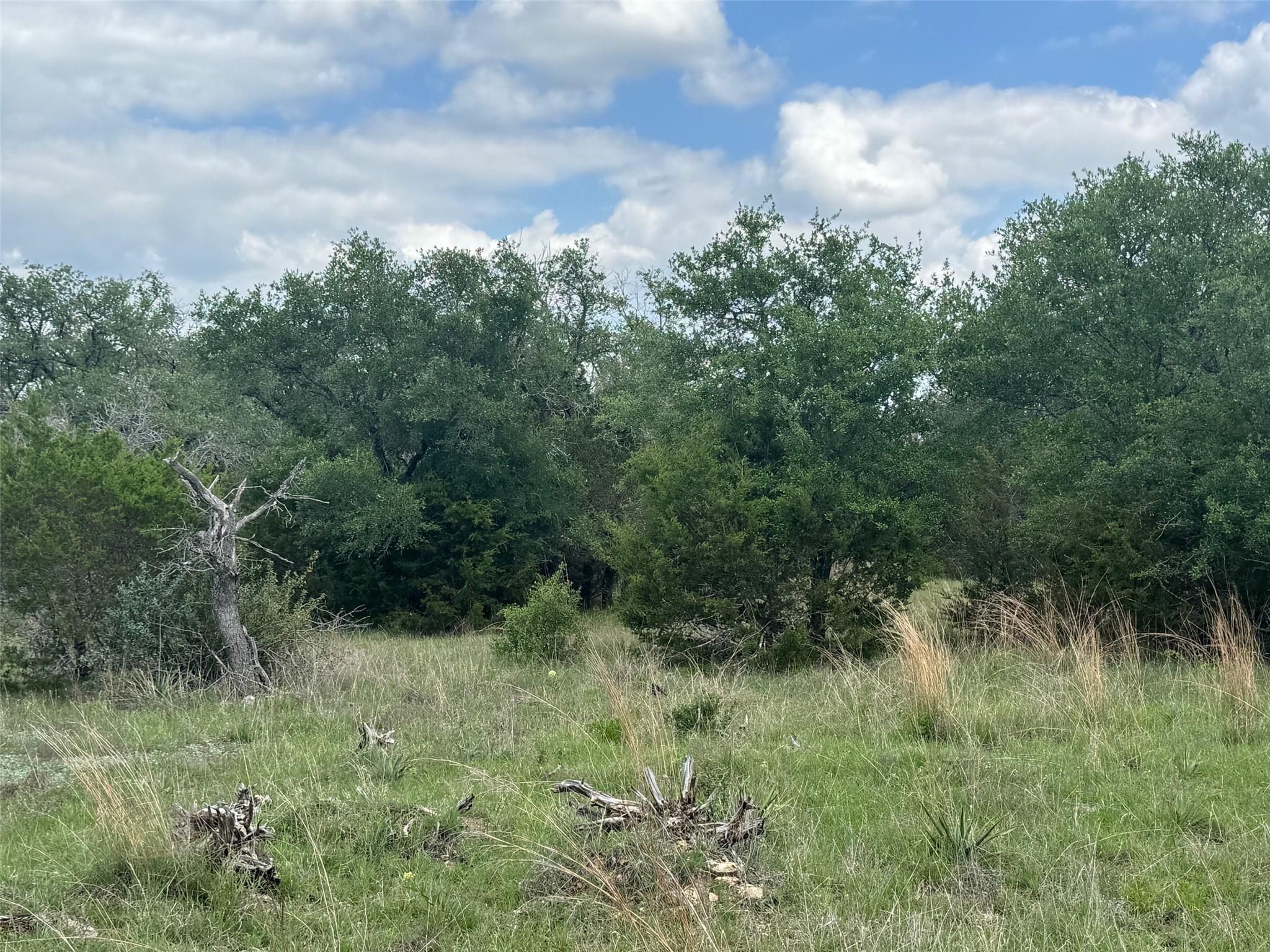 Lot 41 Maverick WAY — photo 4
