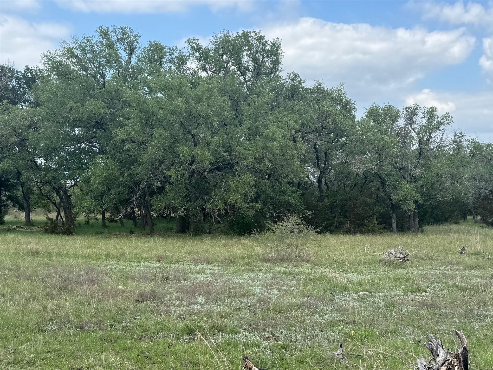Lot 41 Maverick WAY — photo 5