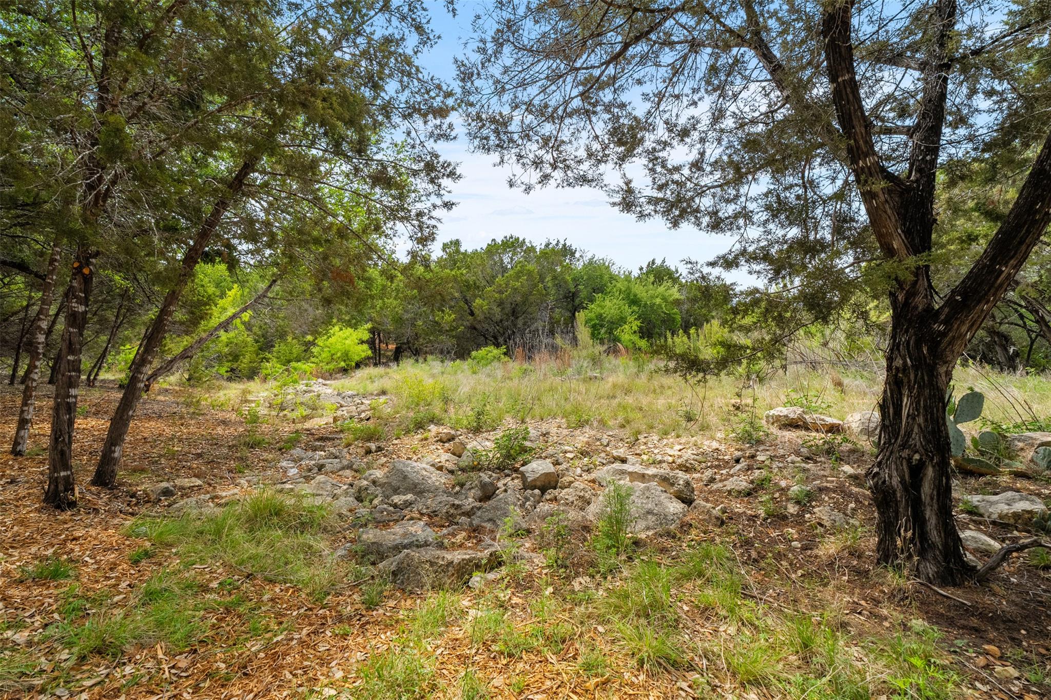 2900 Ticonderoga CV — photo 4