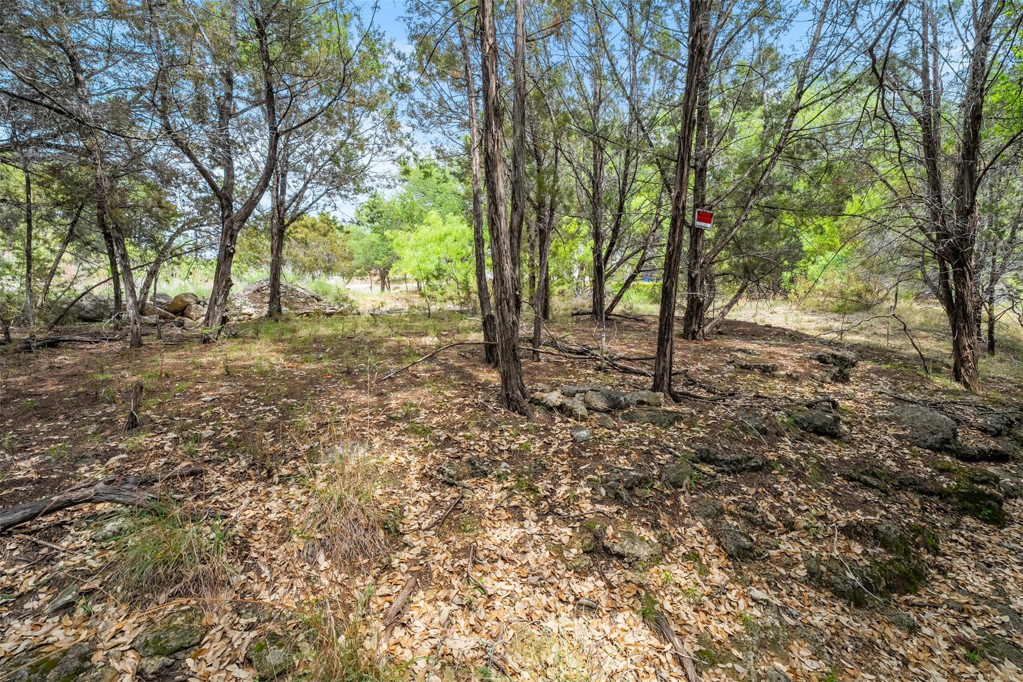 2900 Ticonderoga CV — photo 5