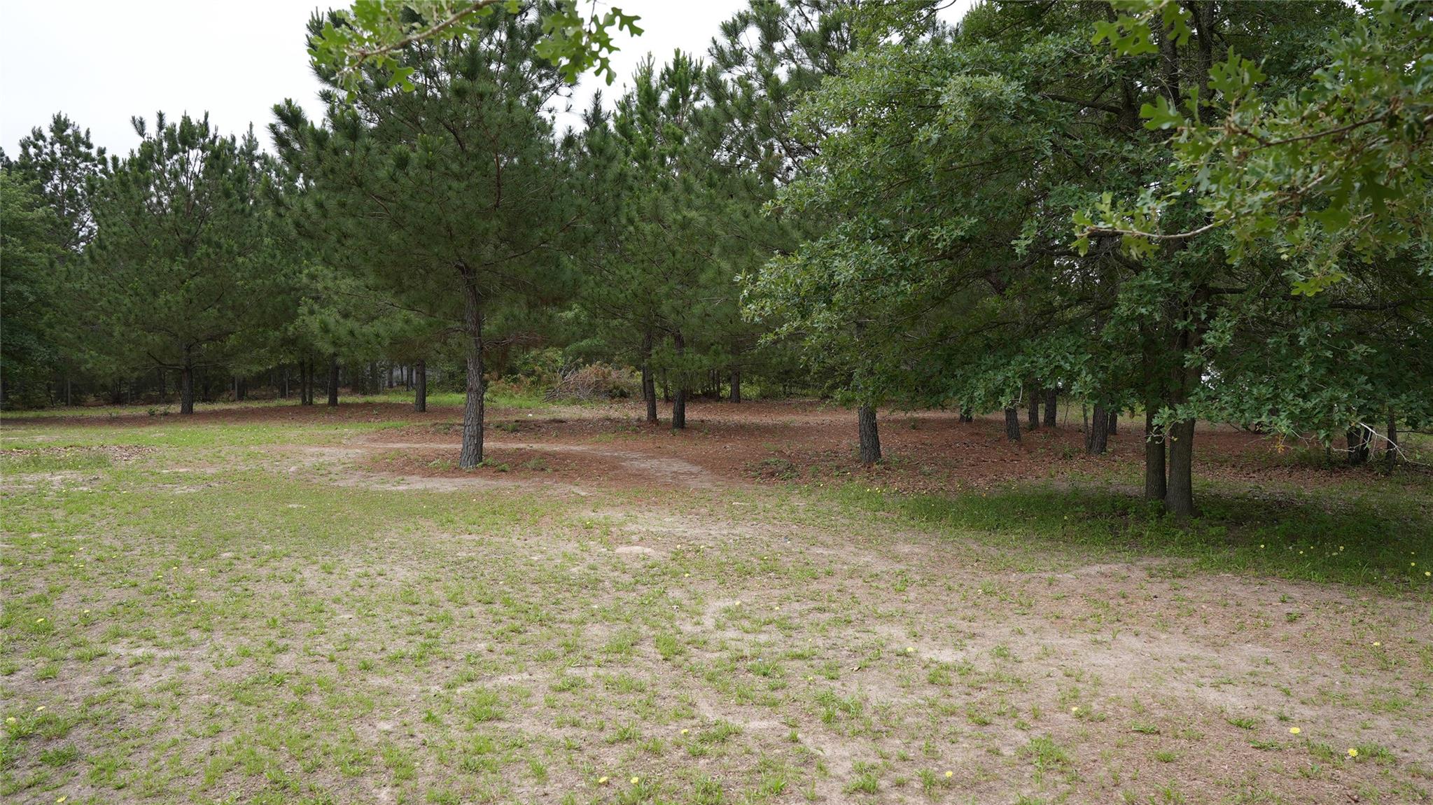 TBD Buckhorn DR — photo 5
