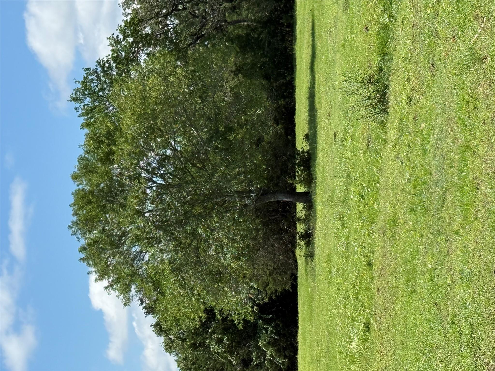 1749 FM 535