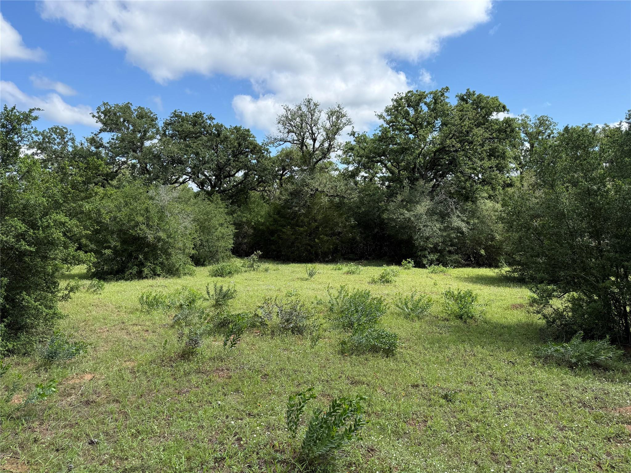 1749 FM 535 — photo 3