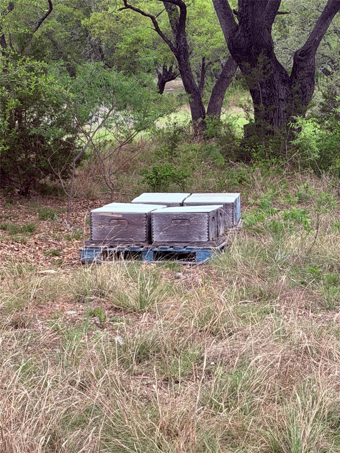TBD FM 1174 — photo 5