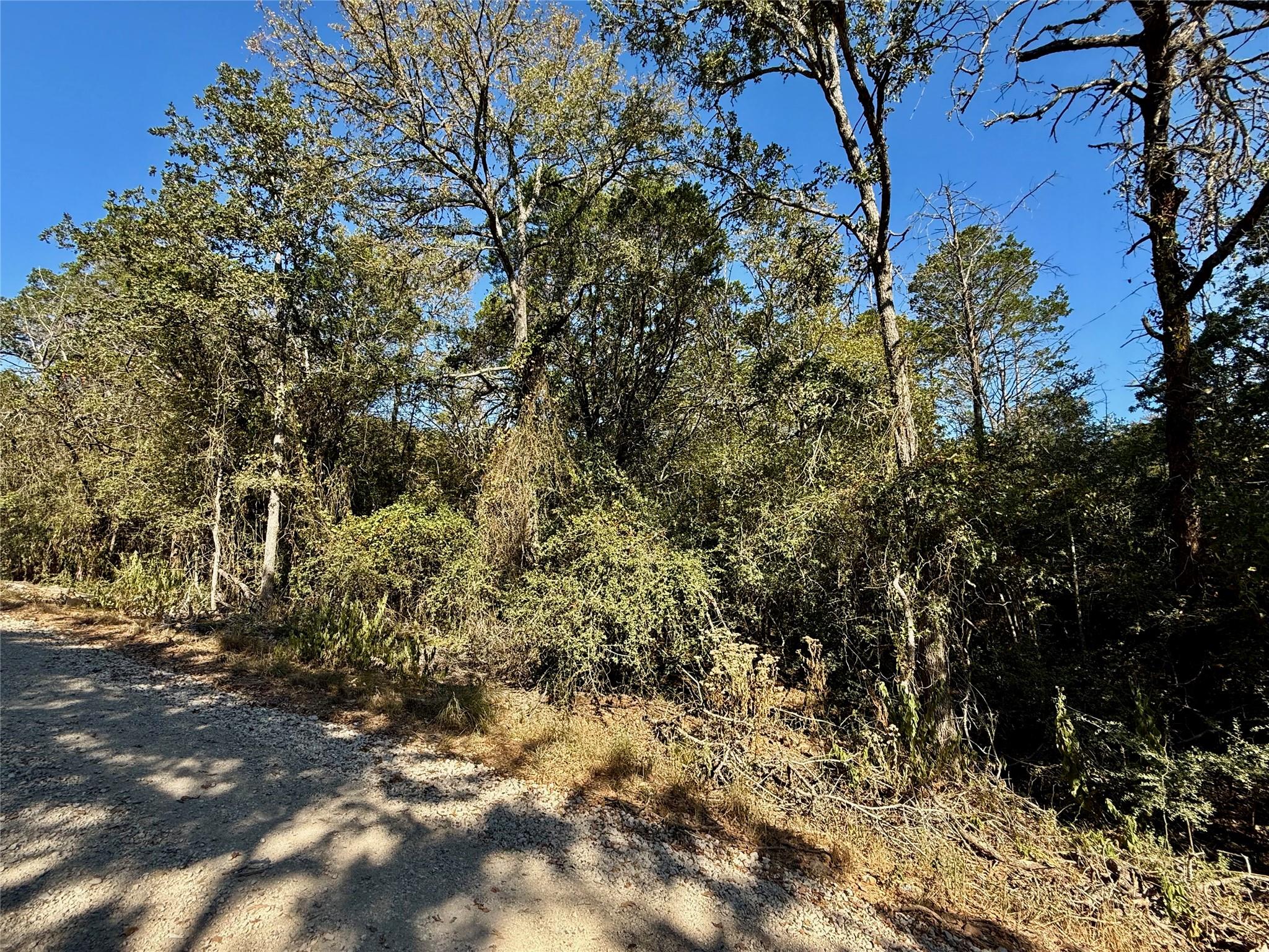 TBD Lot 1232 Hanauma DR — photo 4
