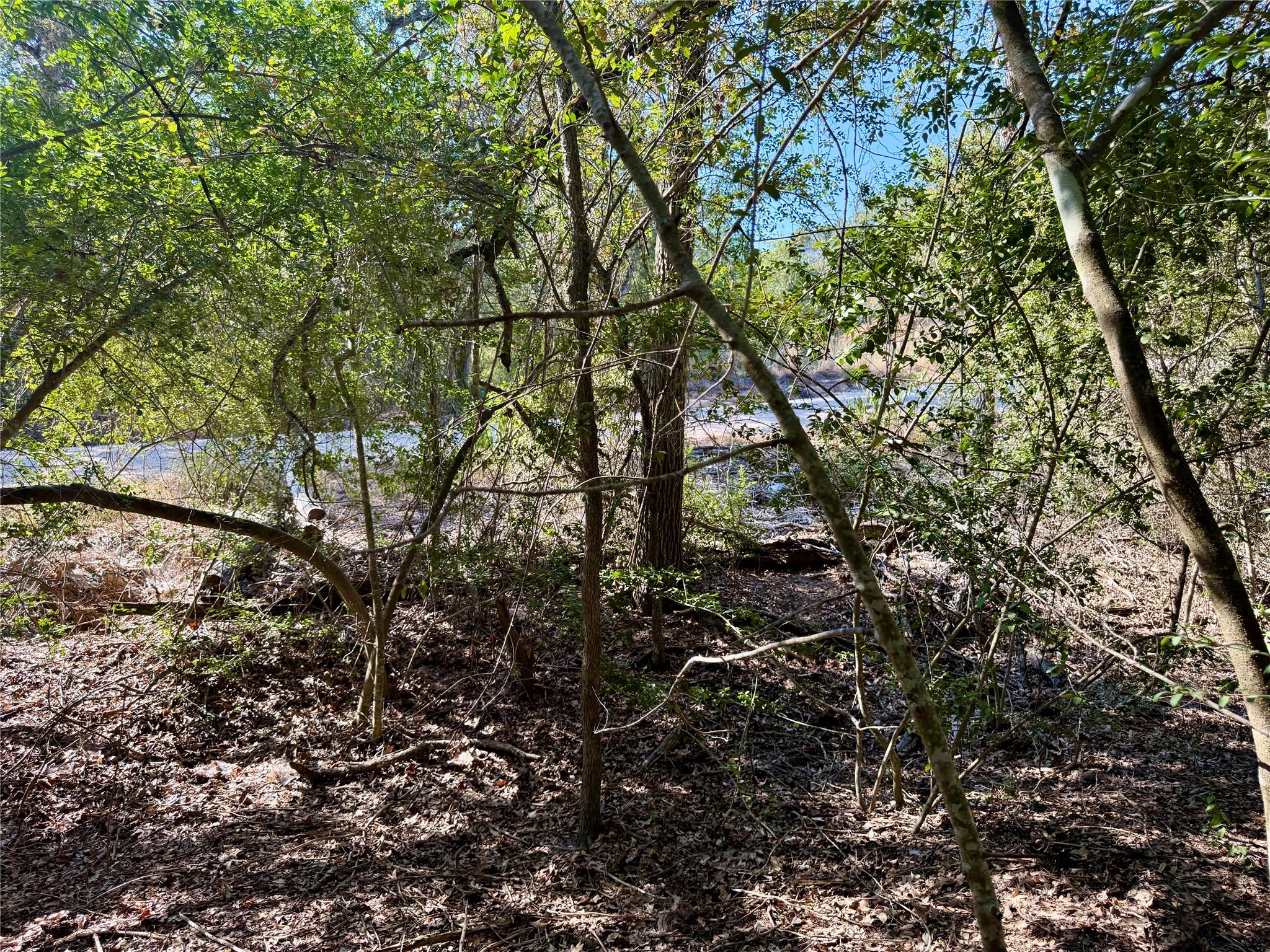 TBD Lot 1232 Hanauma DR — photo 5