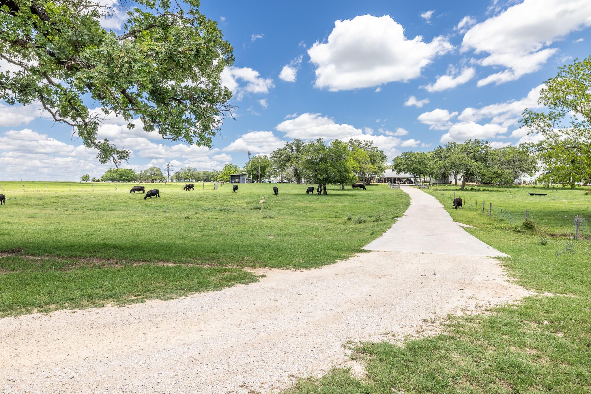6589 State Highway 304 — photo 4