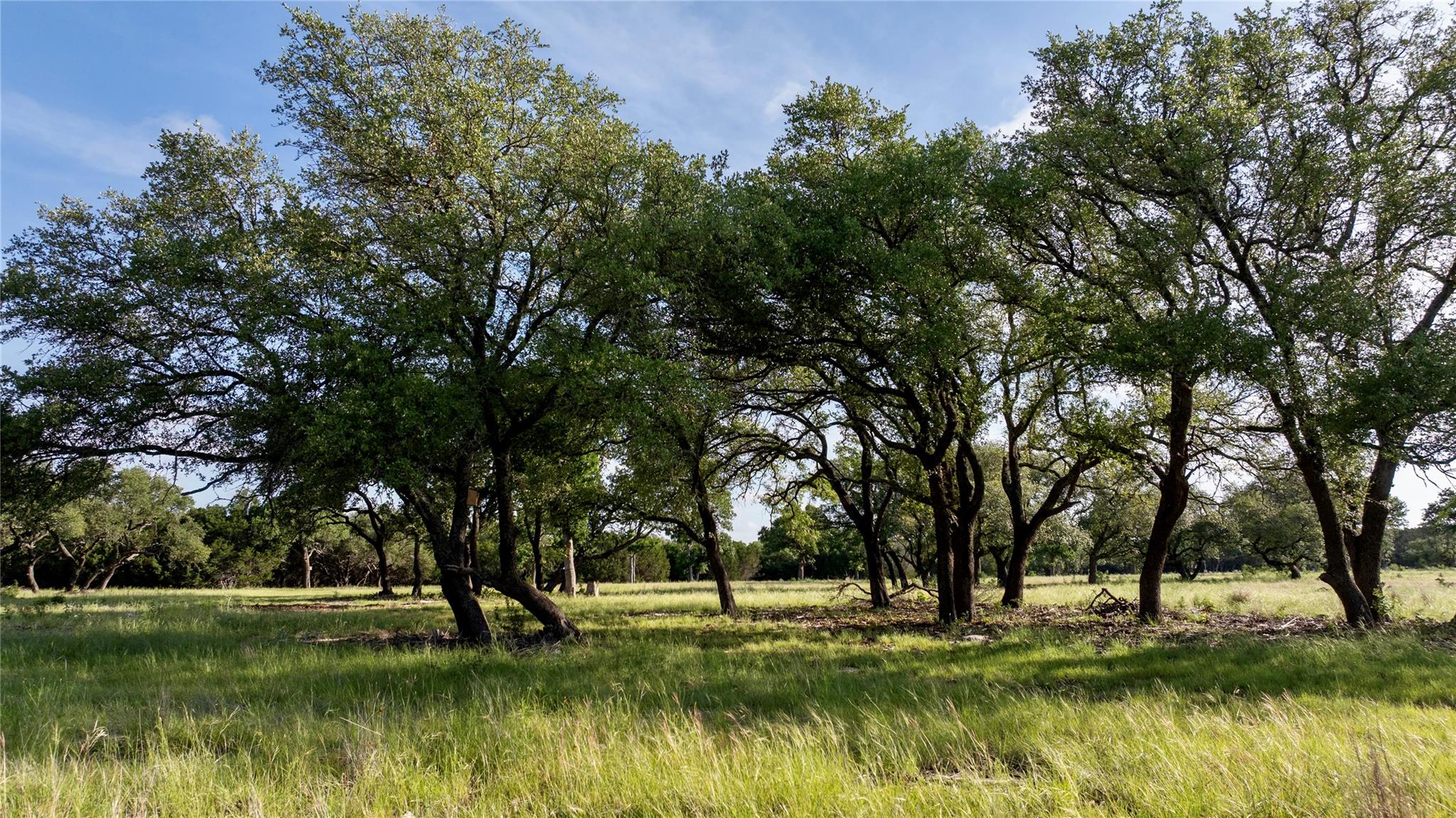 Lot 33 Starfall DR — photo 5