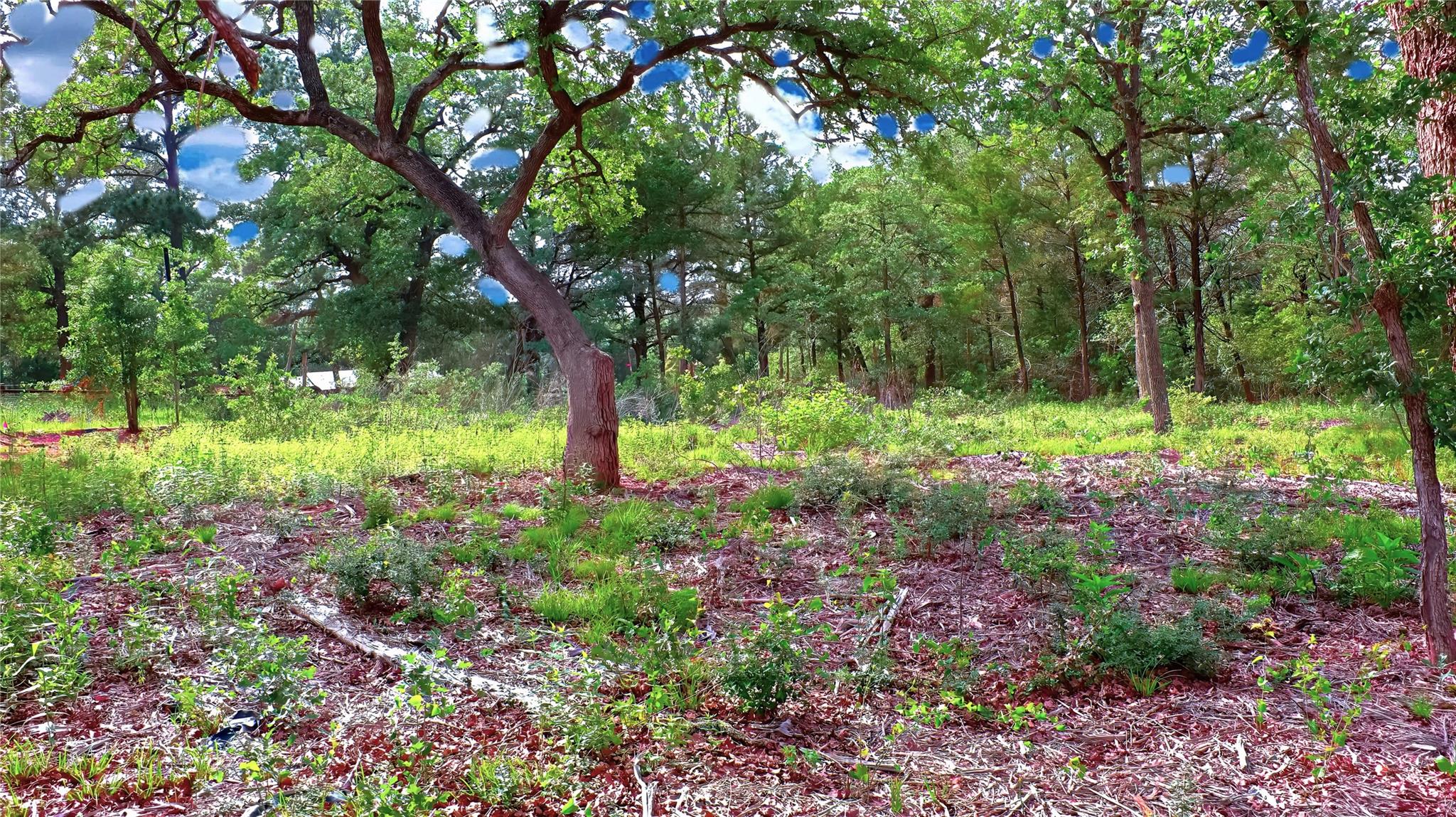 200 Cheyenne DR — photo 4