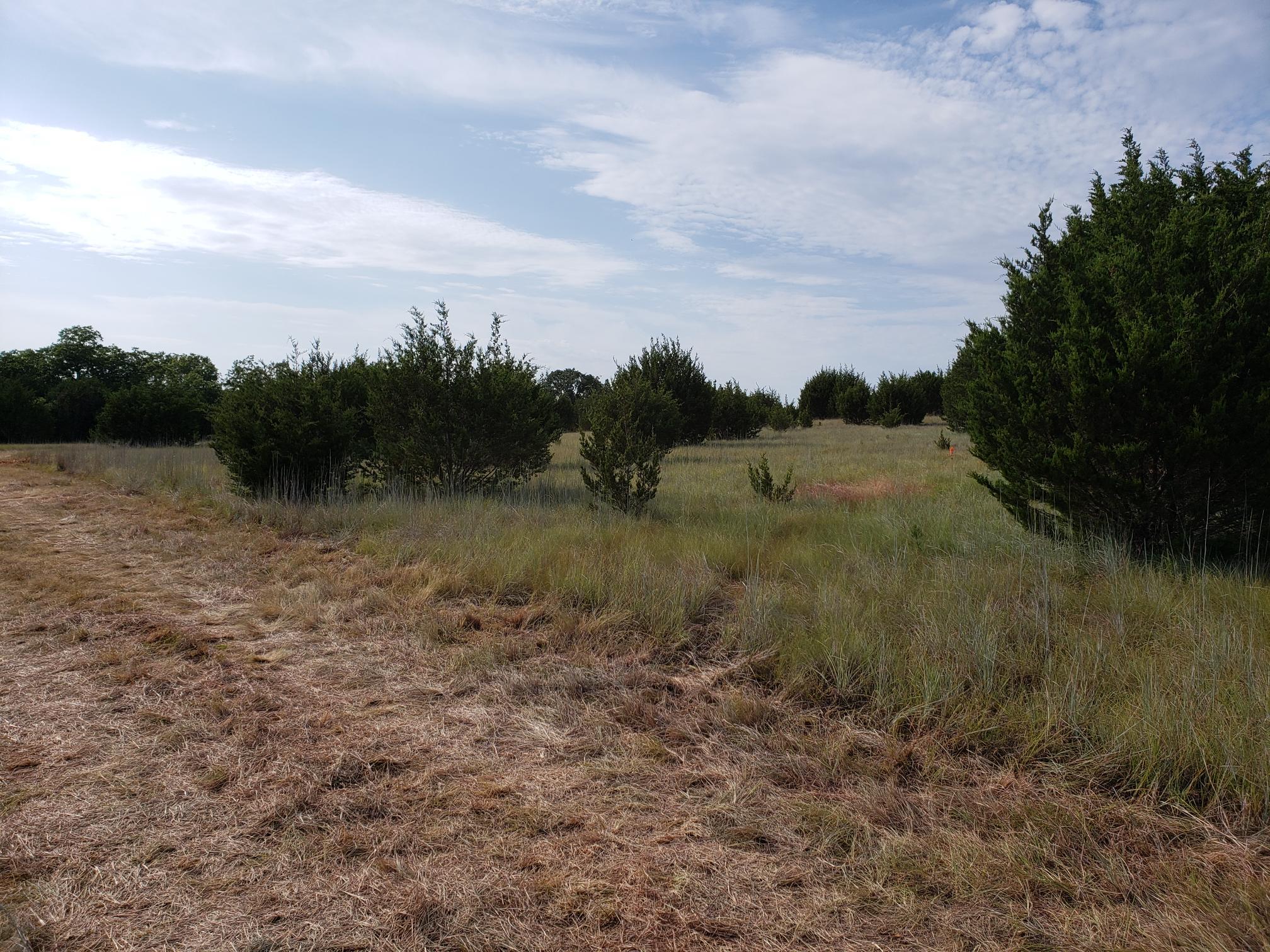 Lot 44 County Road 3640 — photo 3