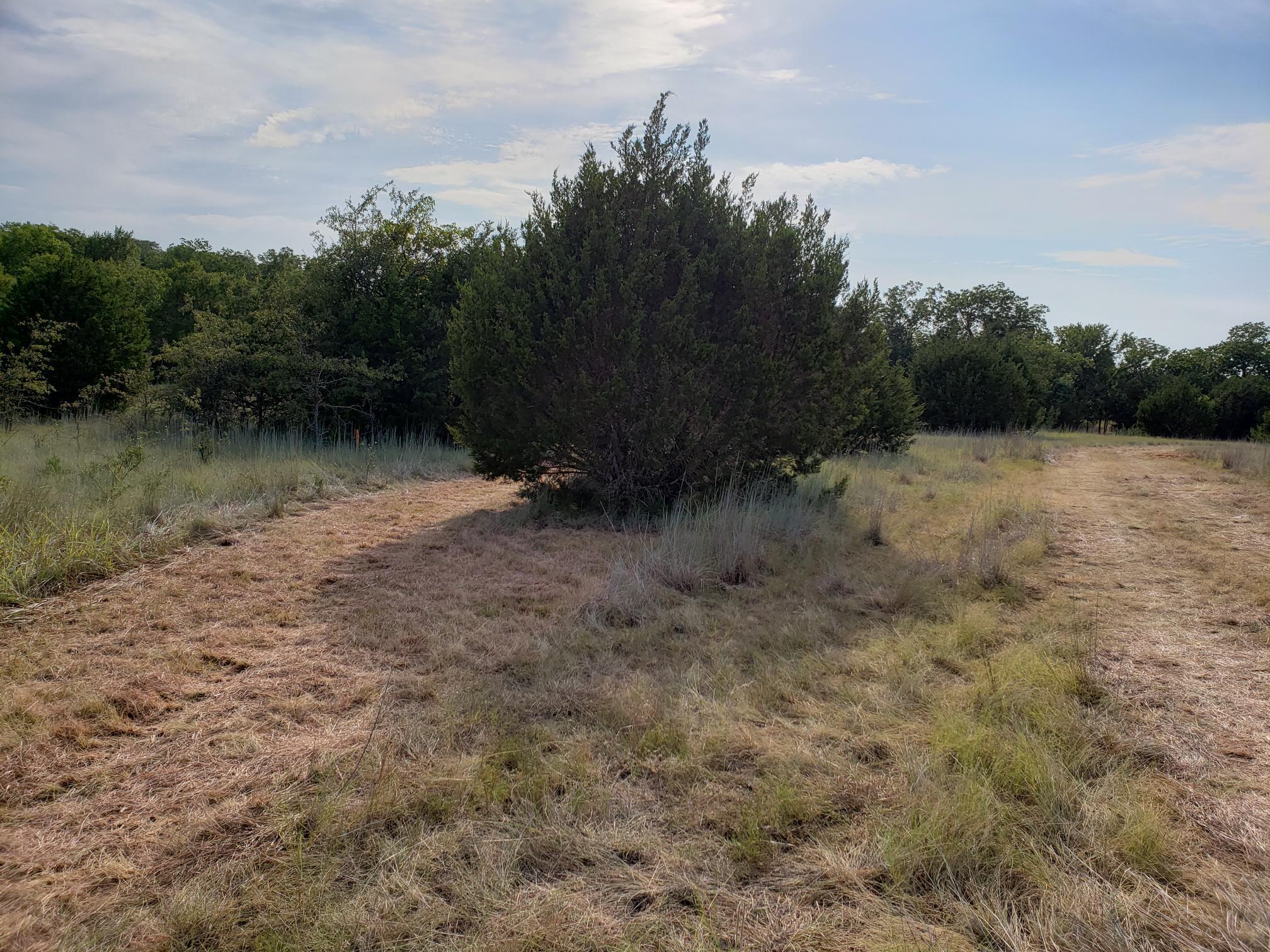 Lot 44 County Road 3640 — photo 5