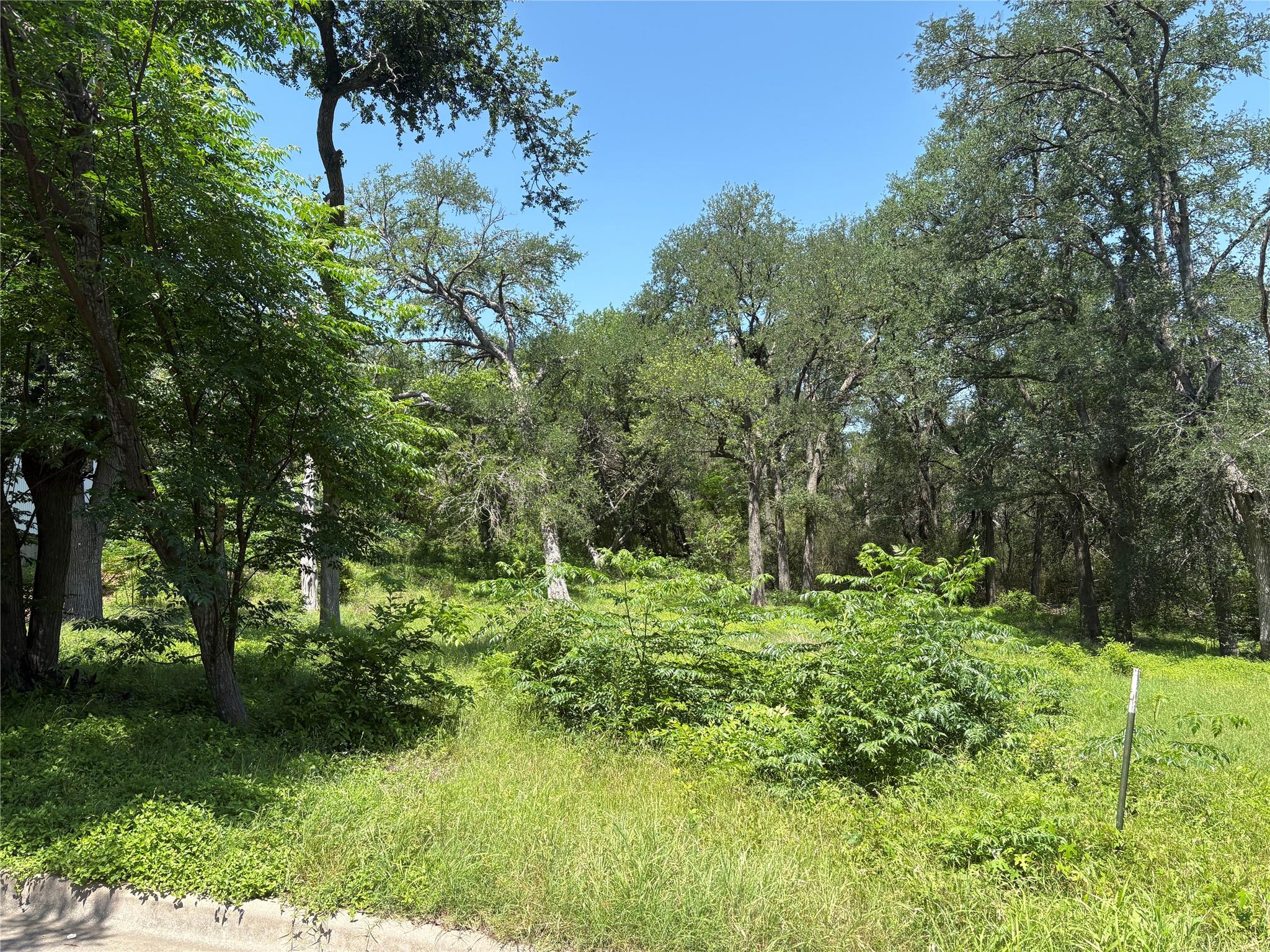 4640 Marlo DR — photo 3