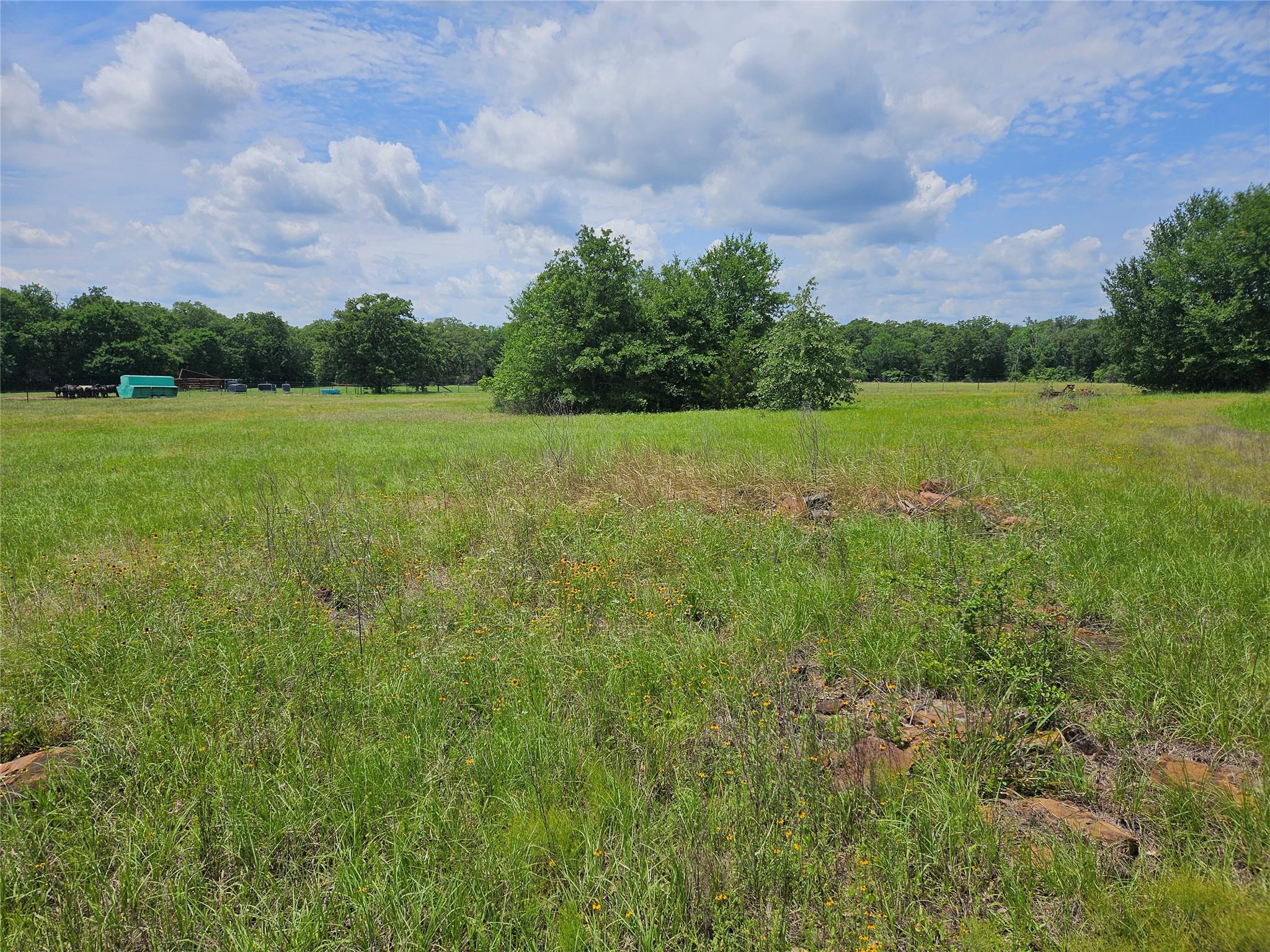 000 TBD CR 346 RD — photo 3