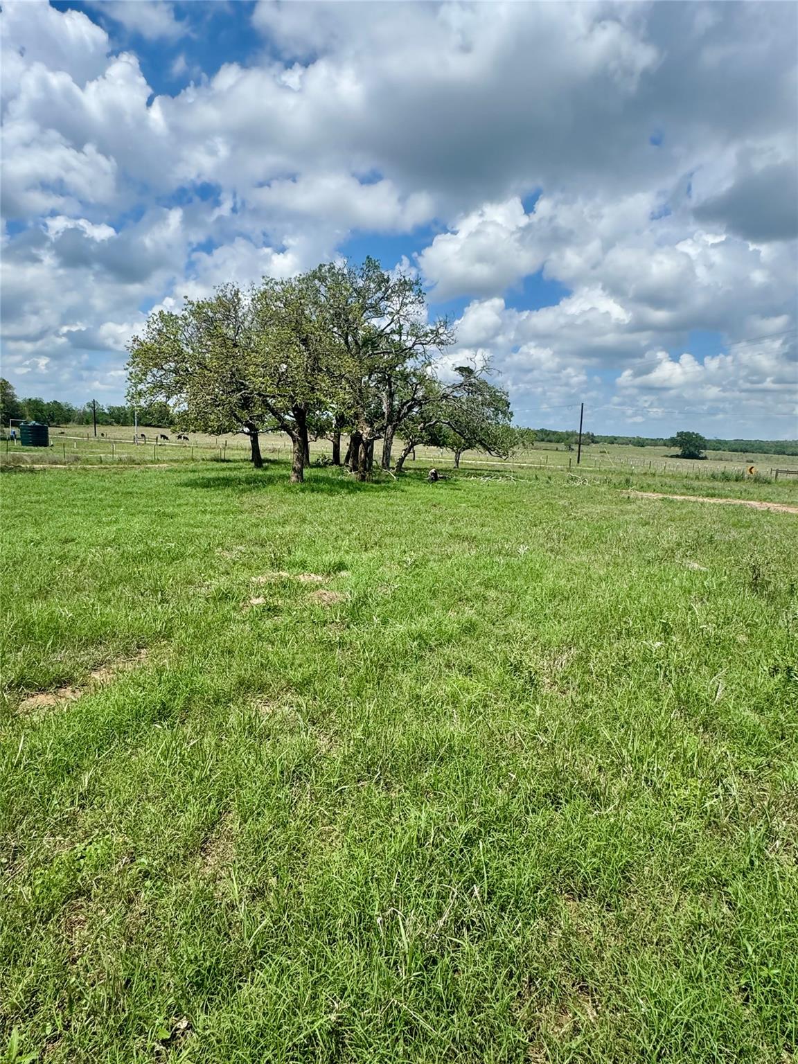 TBD Lot 10 Cardinal RD — photo 3