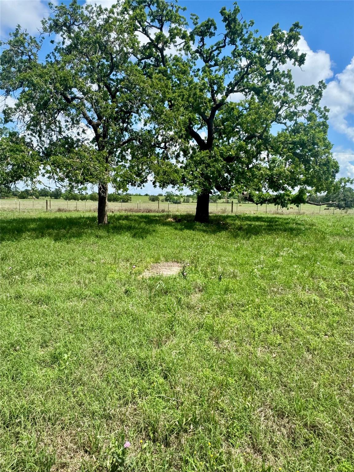 TBD Lot 10 Cardinal RD — photo 5