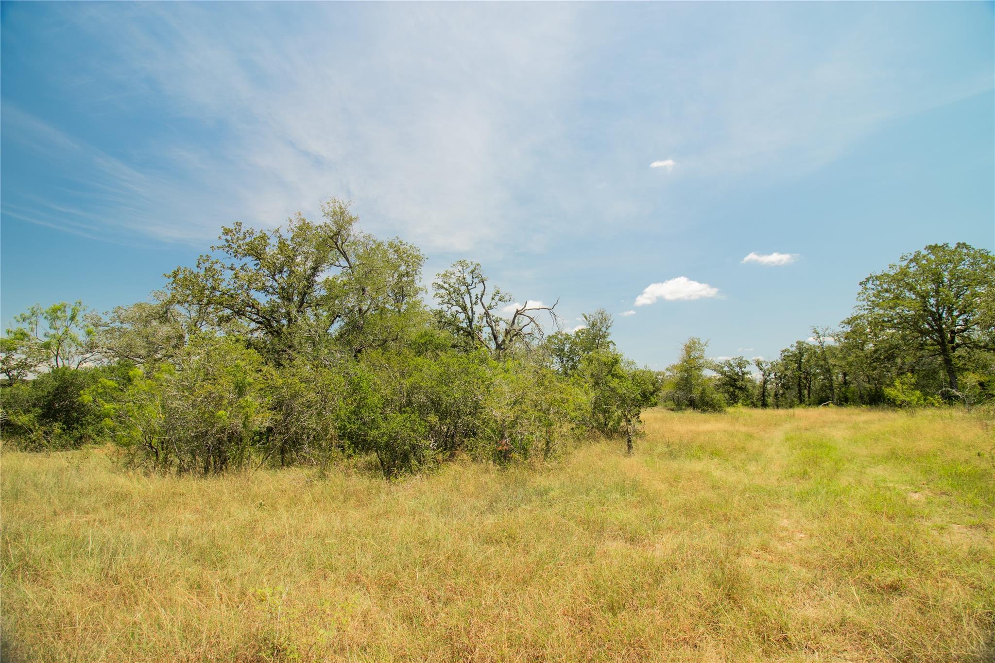 2564 Bluestem Crest LN — photo 3