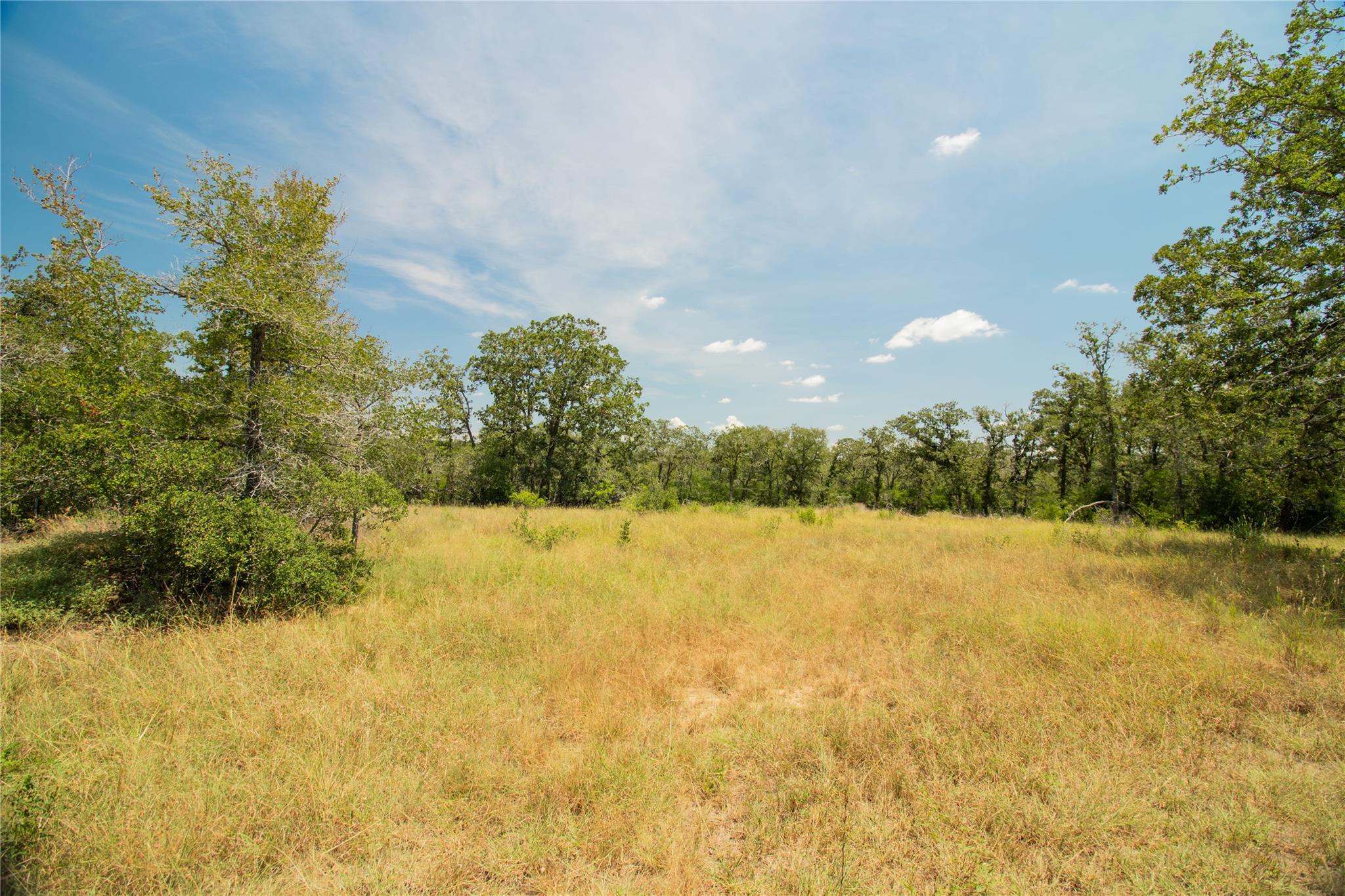 2564 Bluestem Crest LN — photo 5