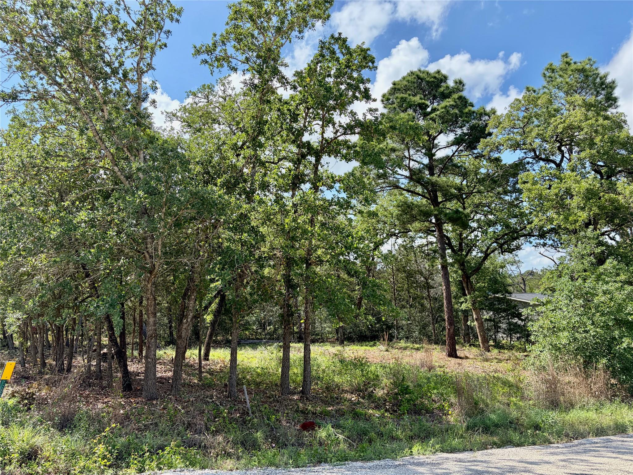 Lots-95/96 Shawnee DR — photo 3