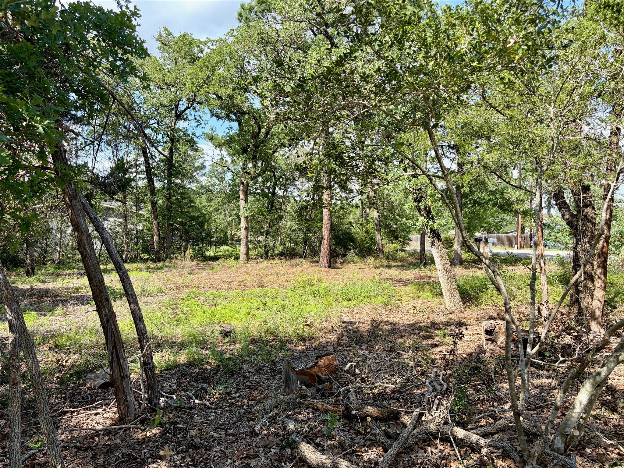 Lots-95/96 Shawnee DR — photo 5