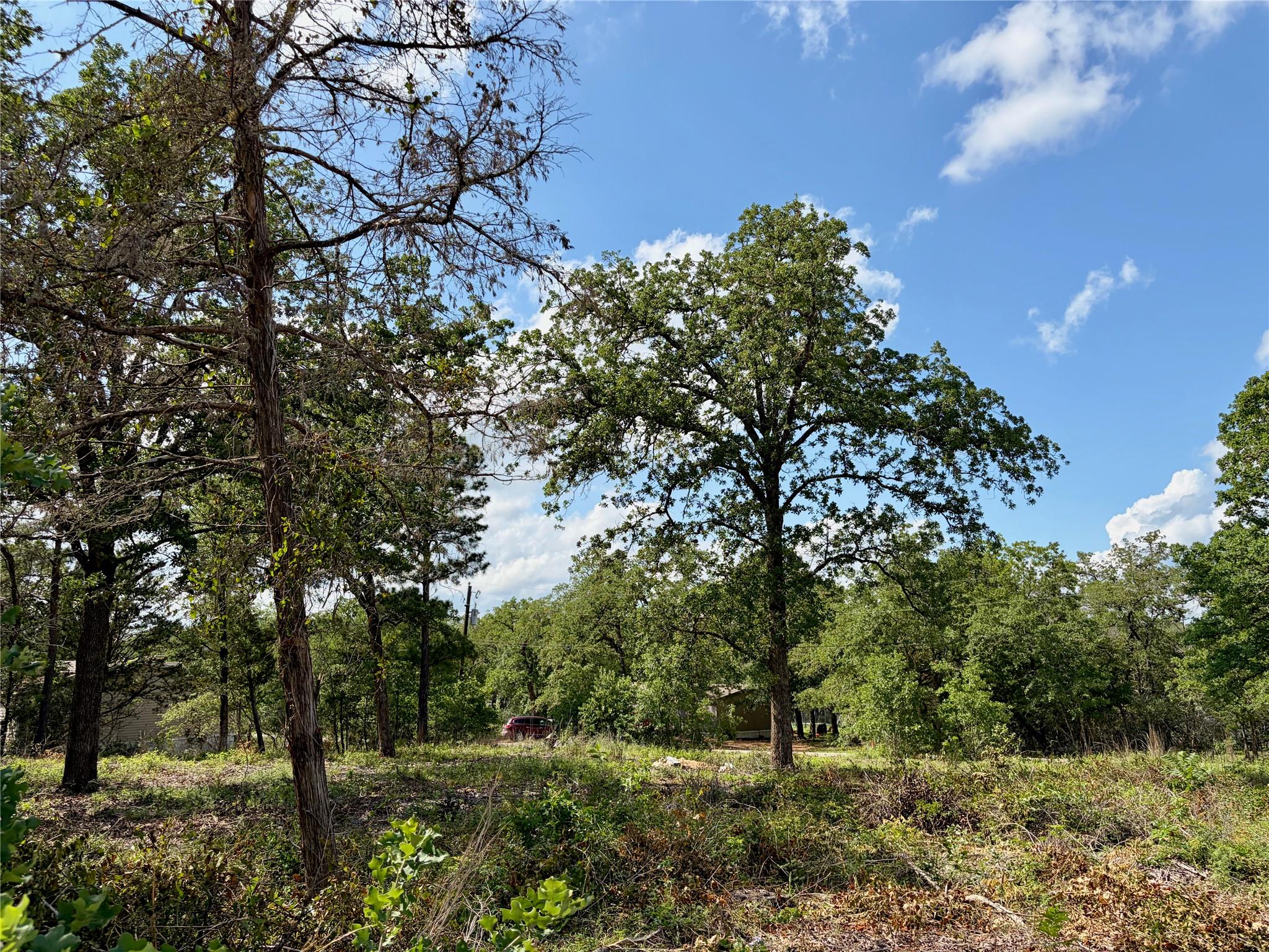 Lots-97/98 Shawnee DR