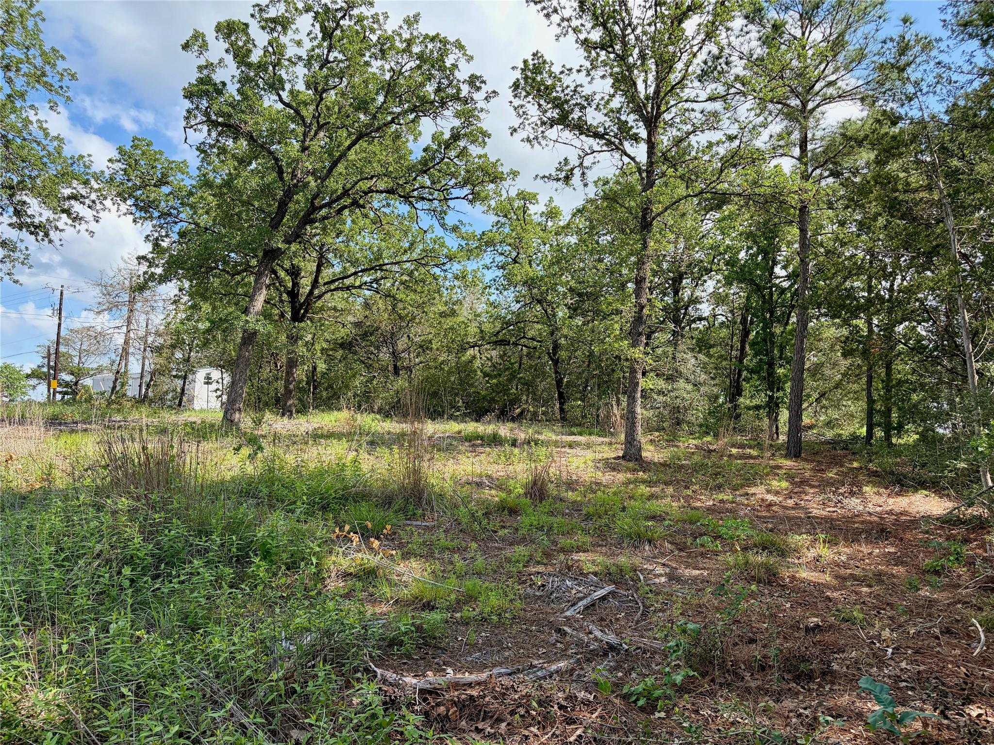 Lots-97/98 Shawnee DR — photo 3