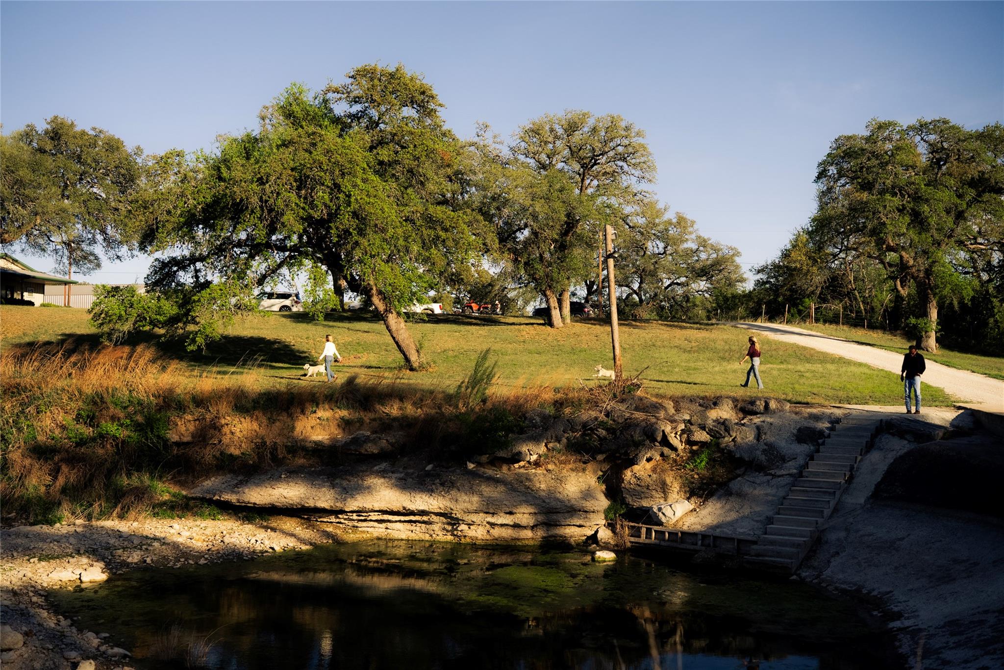 157 Chick Ranch LOOP — photo 4