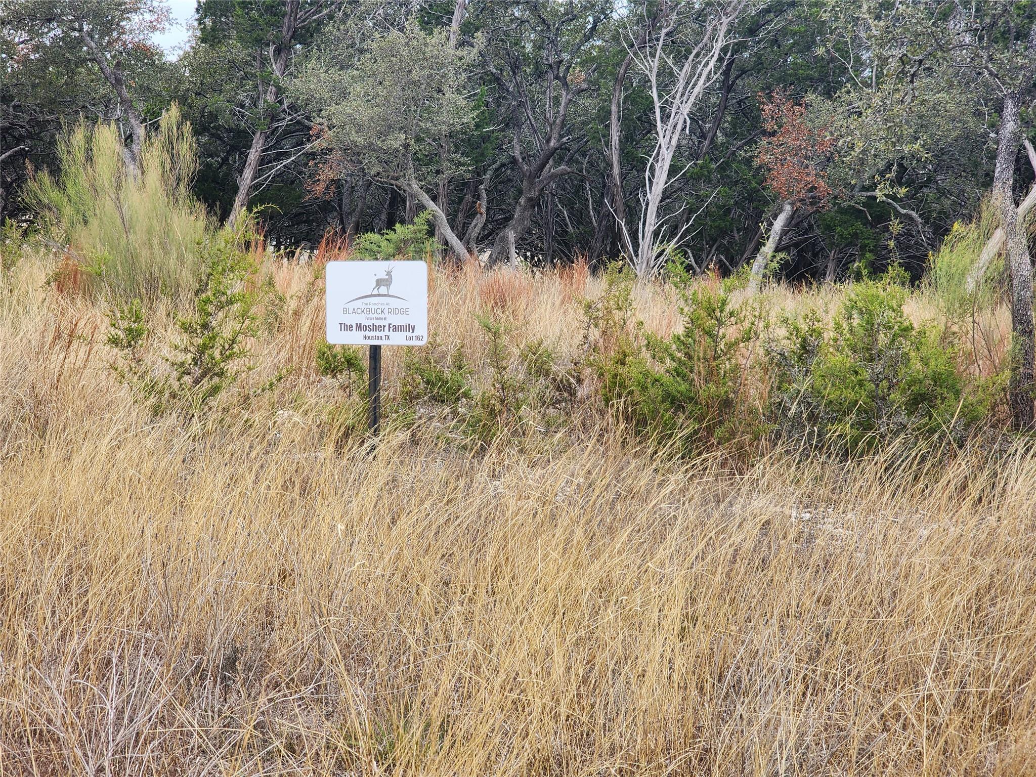 Lot 162 Addax CT — photo 4